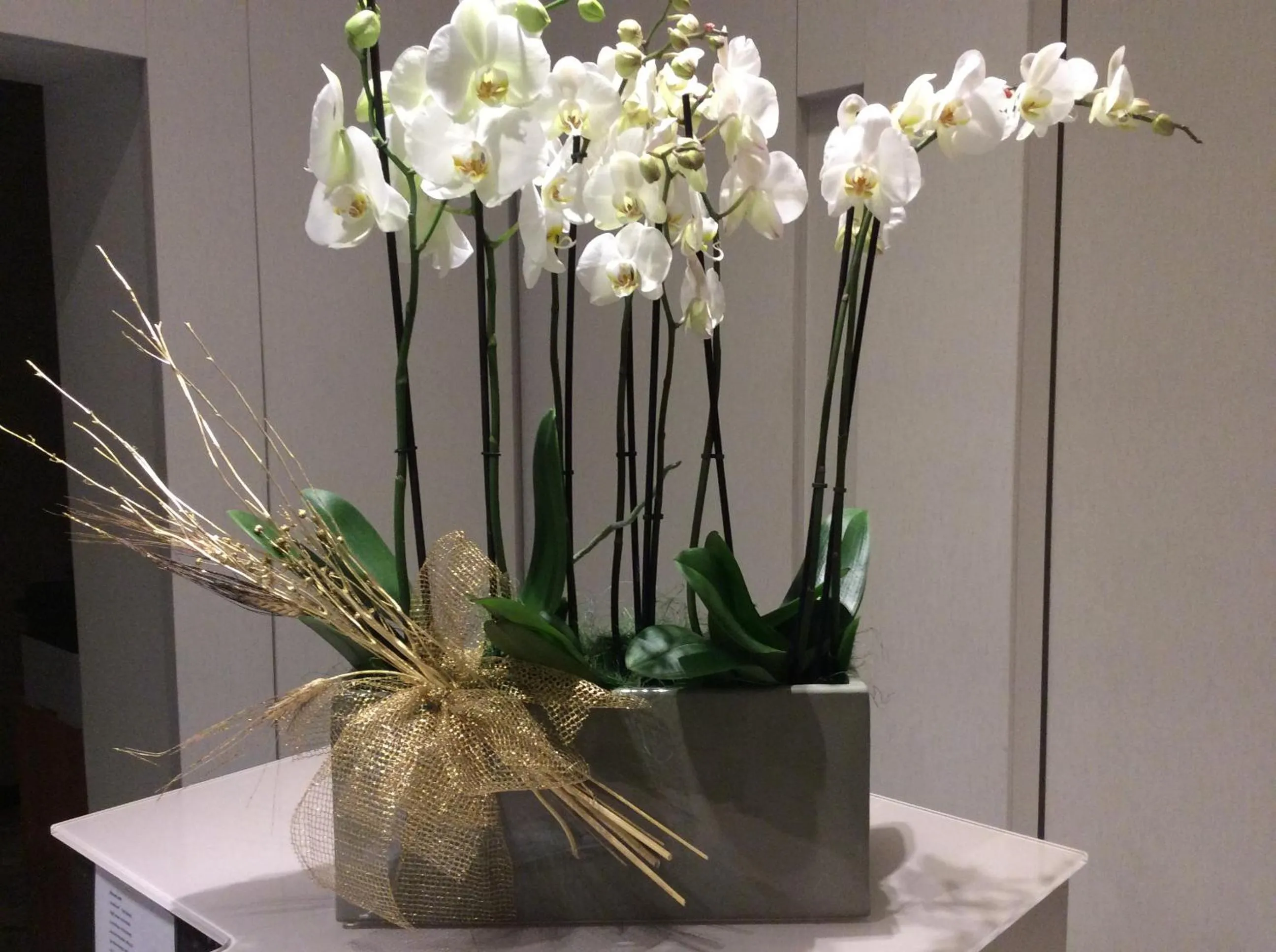 Lobby or reception in Hotel Ariston & Apartments