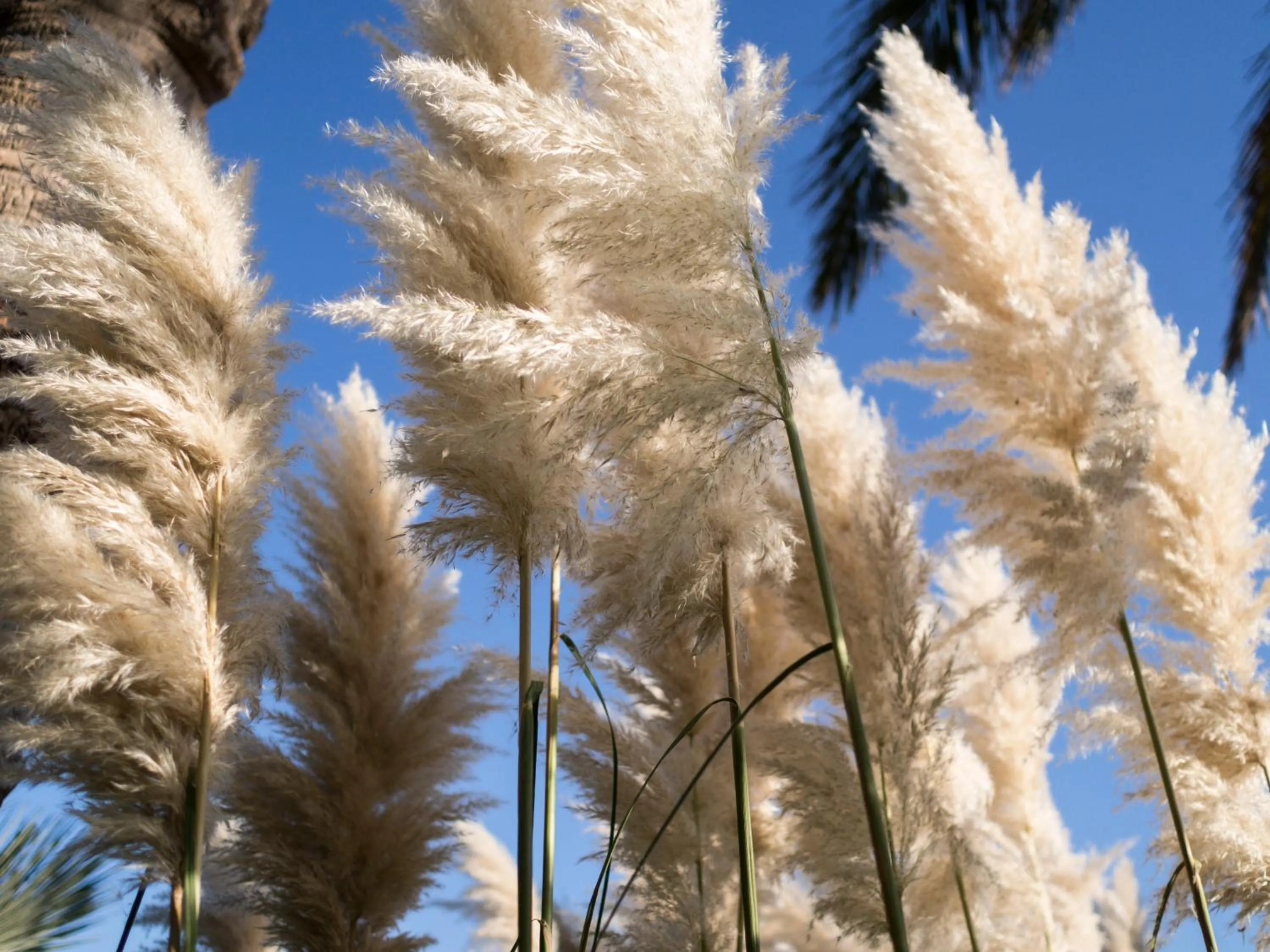 Garden in Agriturismo Il Granaio Hotel & SPA