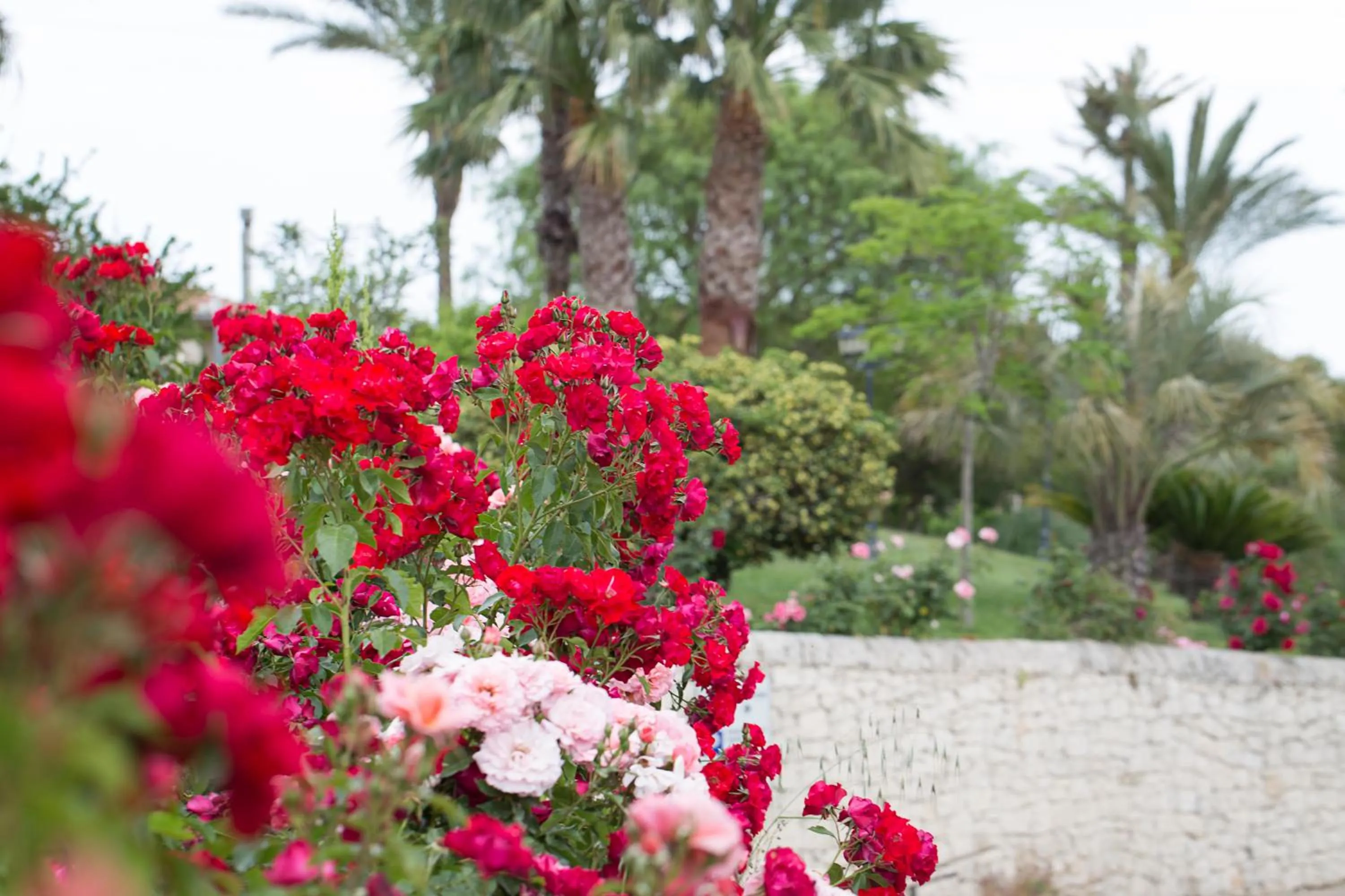 Garden in Agriturismo Il Granaio Hotel & SPA