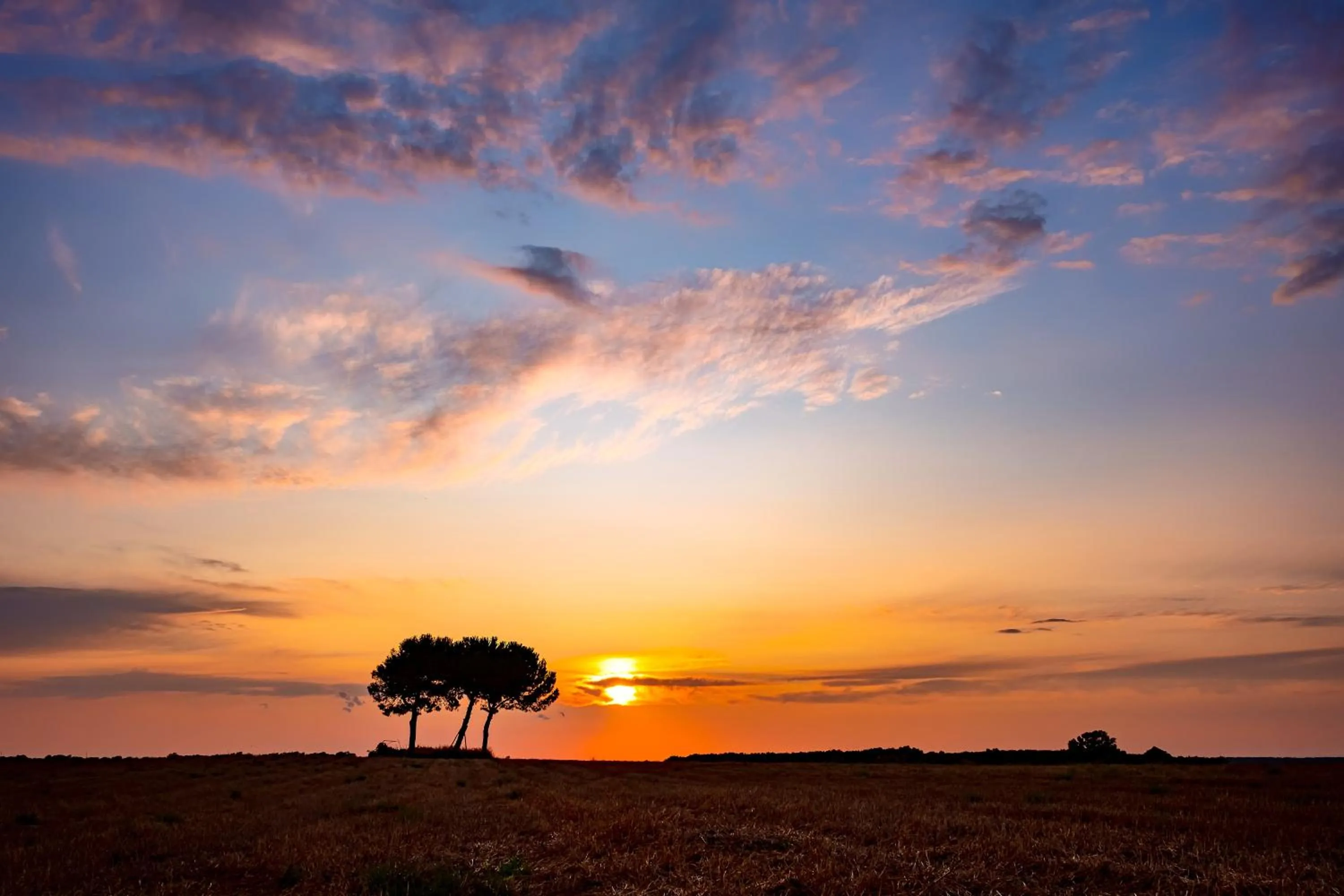Natural landscape in Masseria Bagnara Resort & Spa