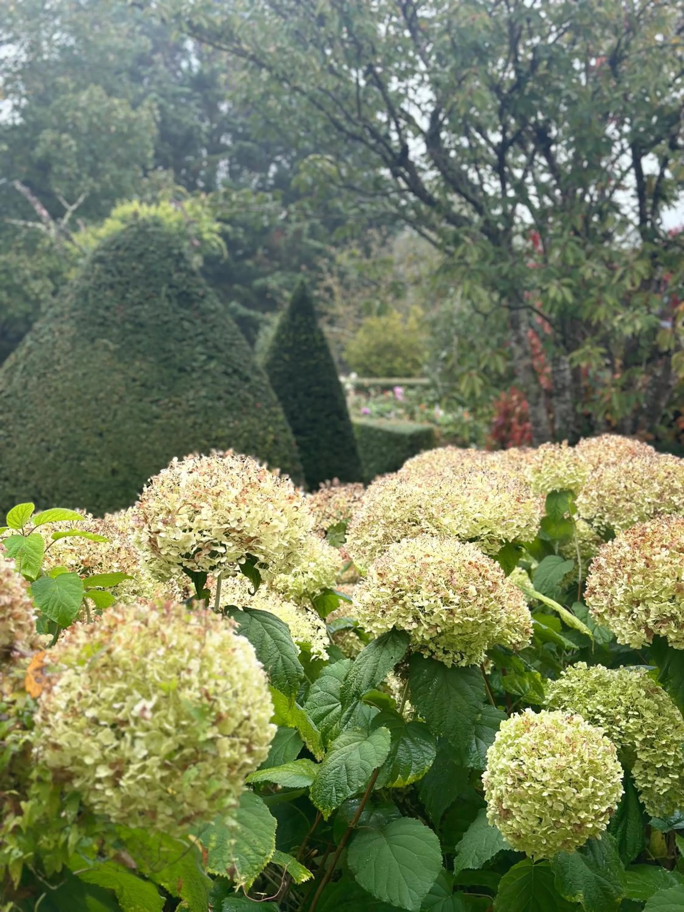 Le Manoir de Maucartier