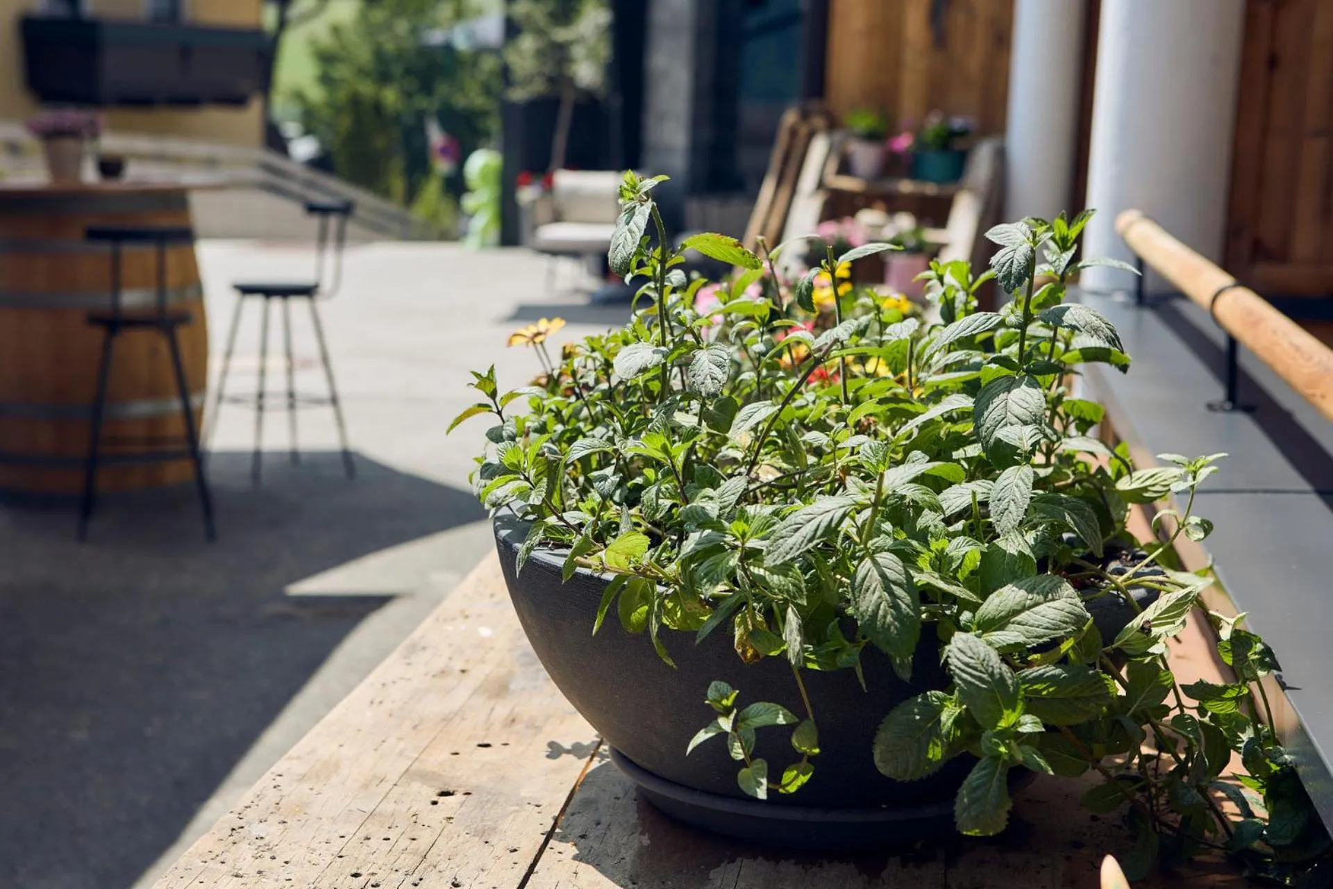 Restaurant/places to eat in Hotel Astrid - Ski In - Ski Out