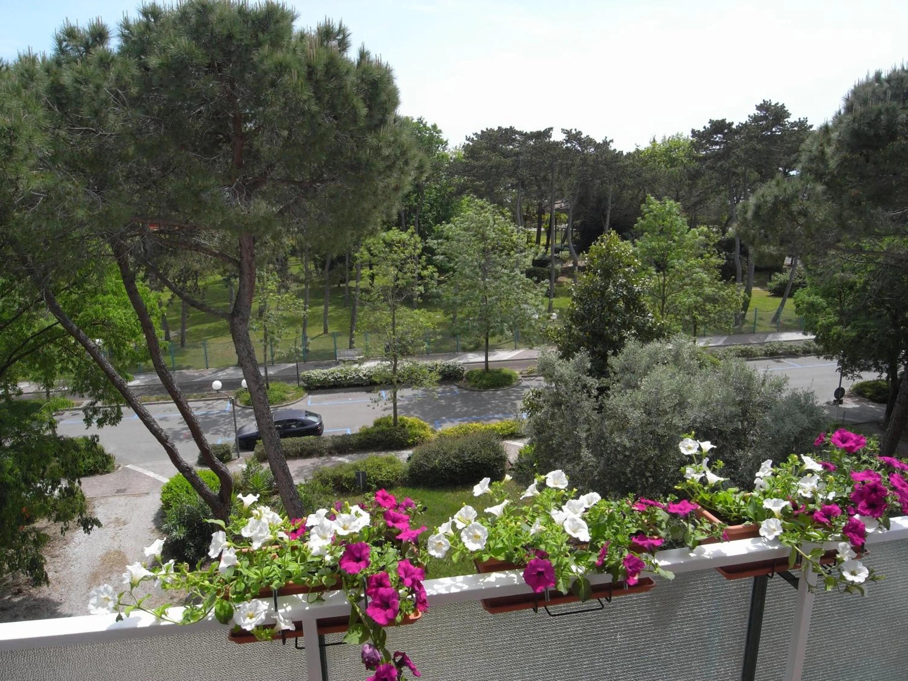 Garden view in Hotel Moreri