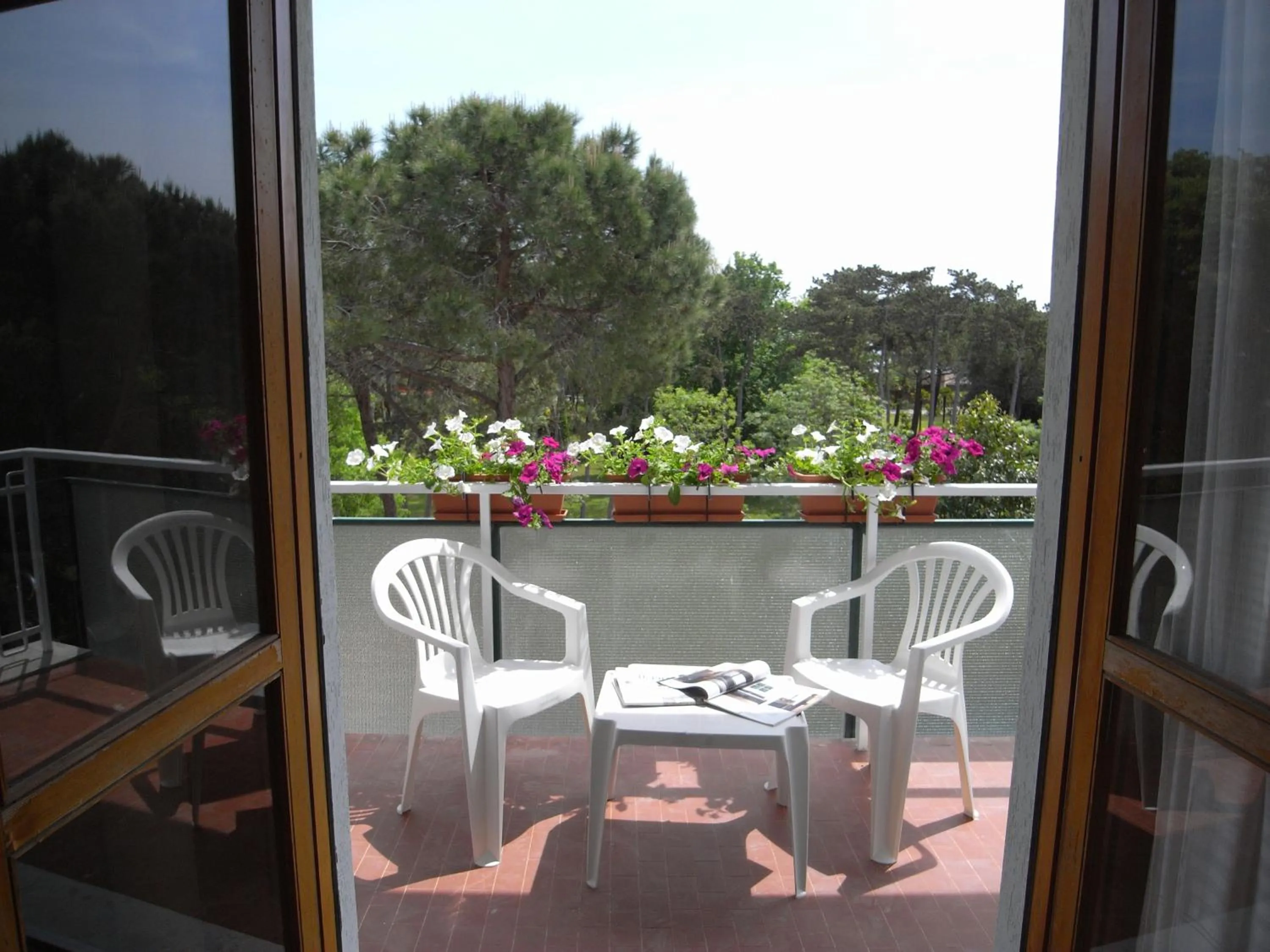 Garden view in Hotel Moreri