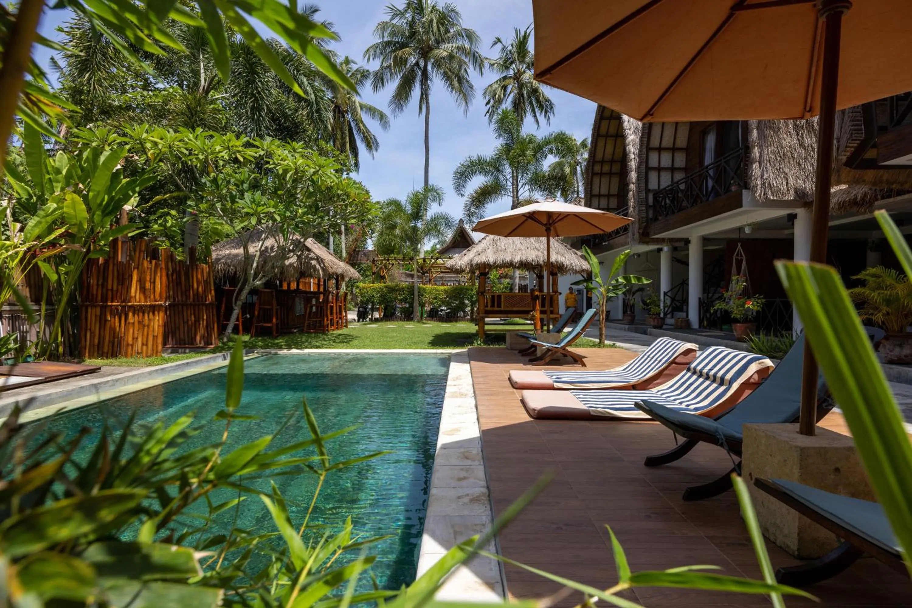 Garden in Martas Windows