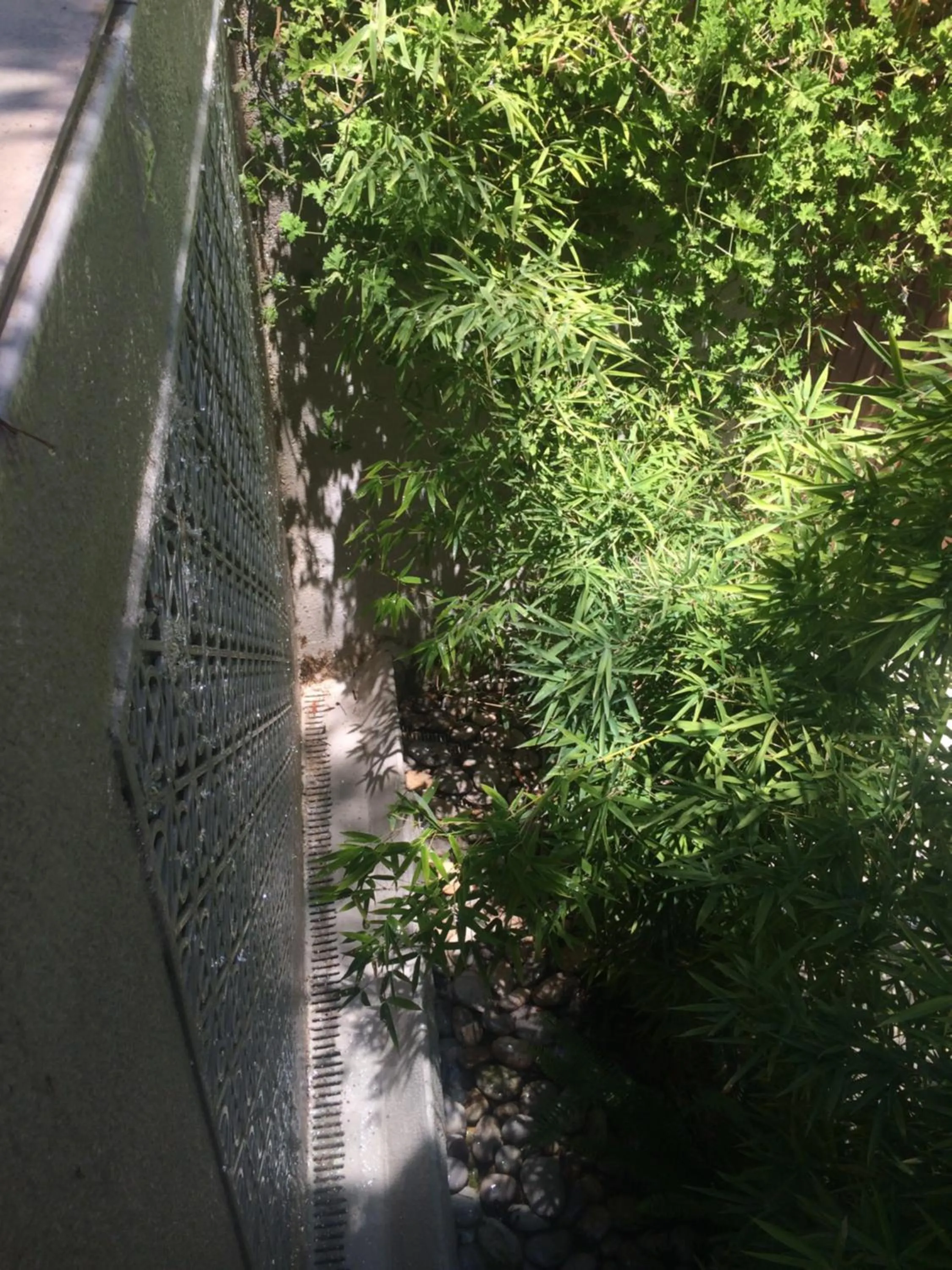 Garden in Coco-Mat Hotel Nafsika