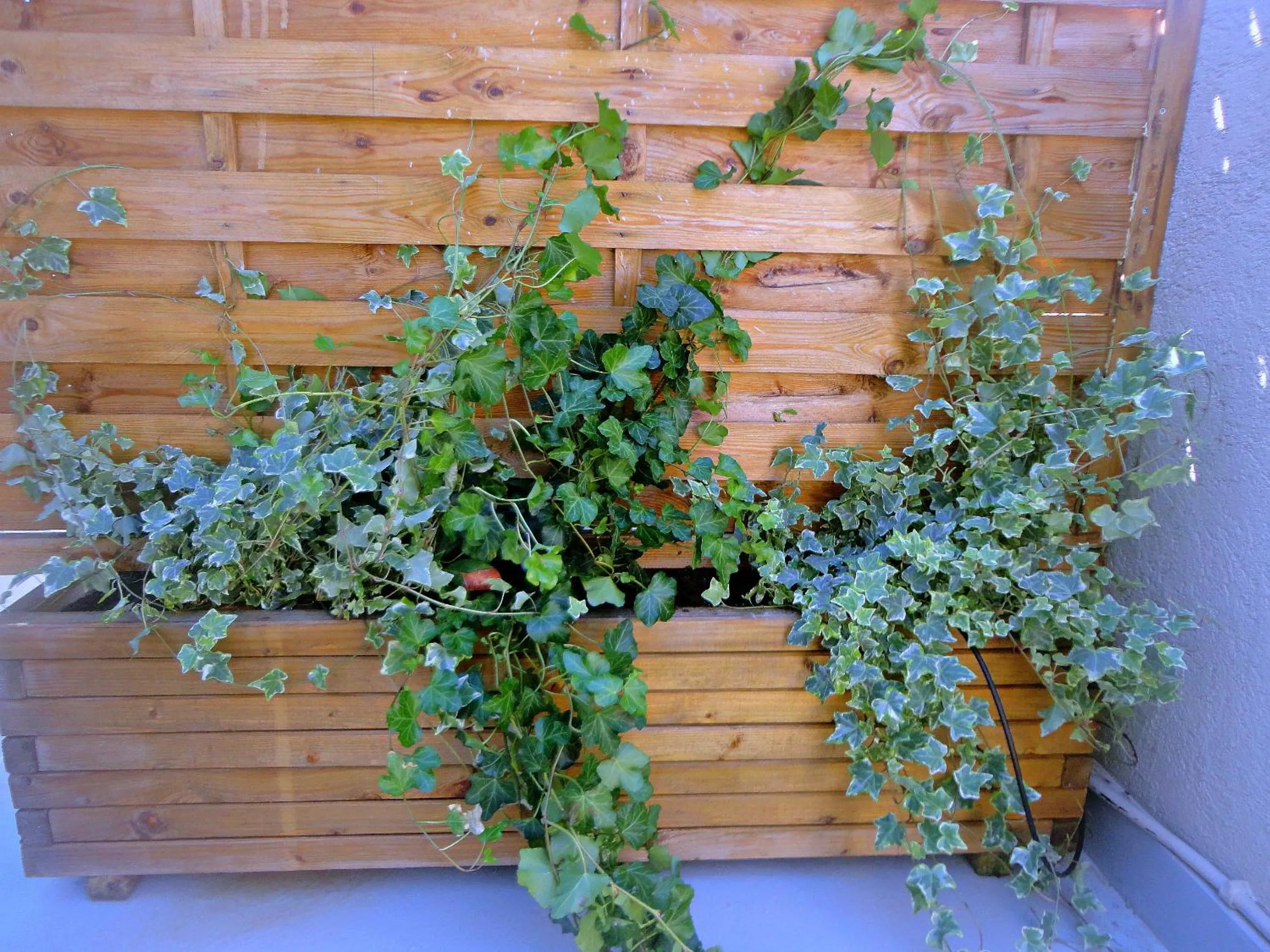Balcony/Terrace in Coco-Mat Hotel Nafsika