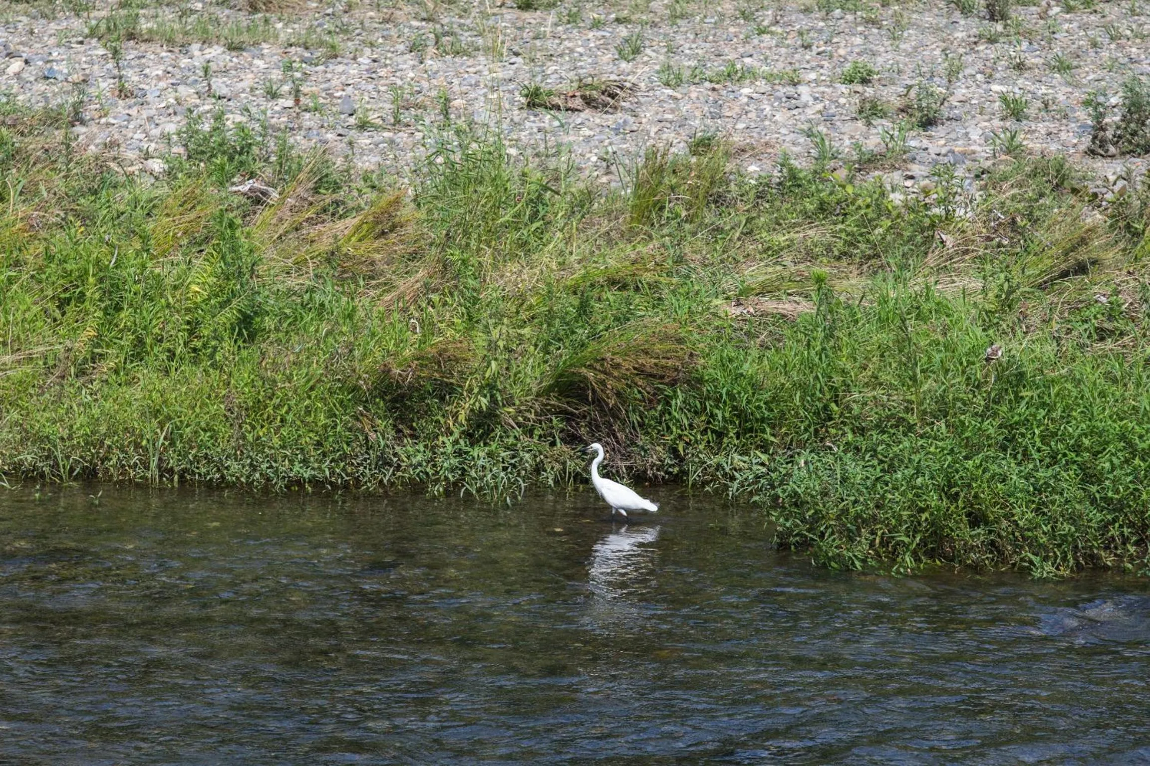 Natural landscape in Shirasagi Kyoto