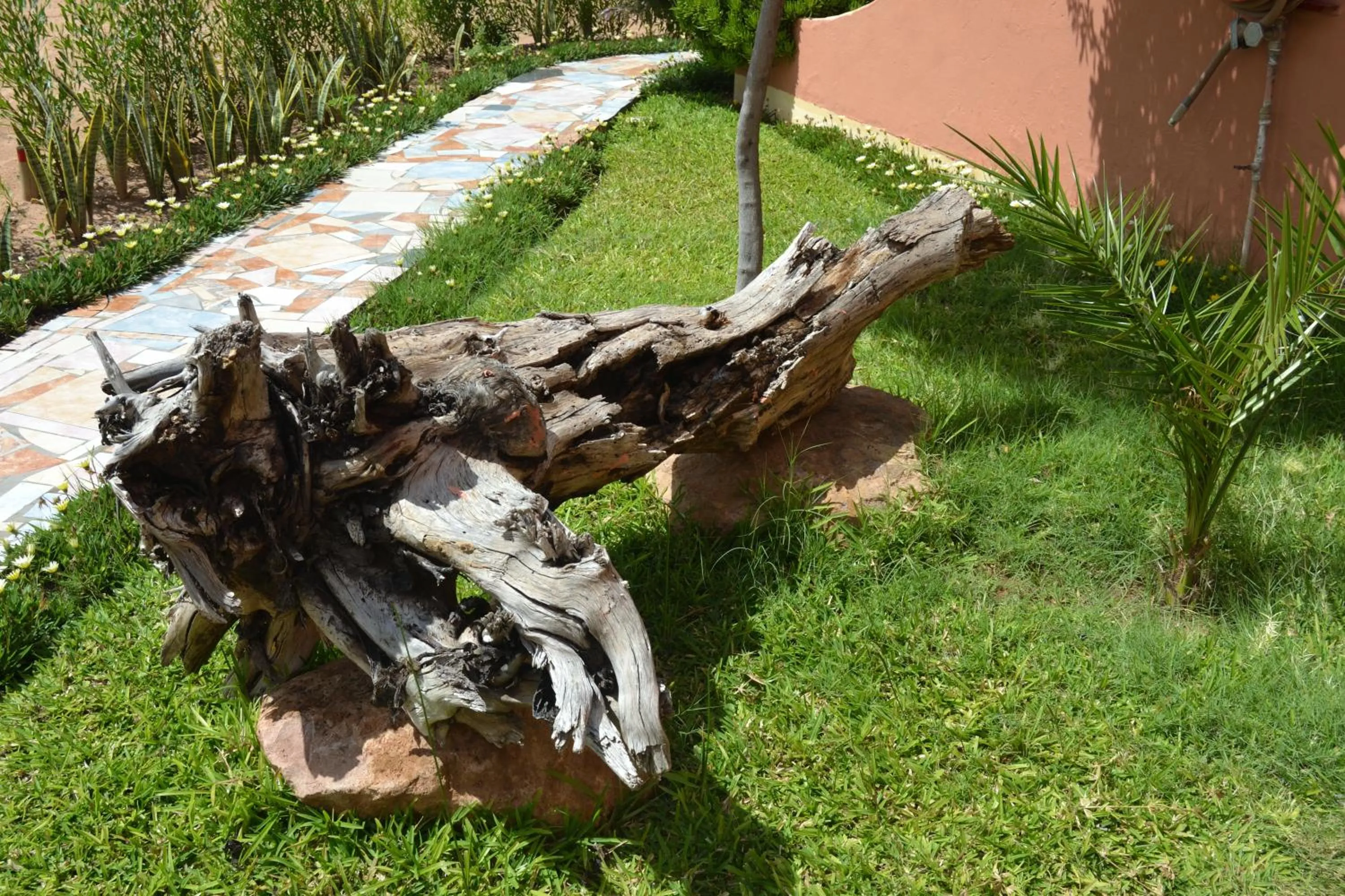 Natural landscape in Seelo Guest Accommodation