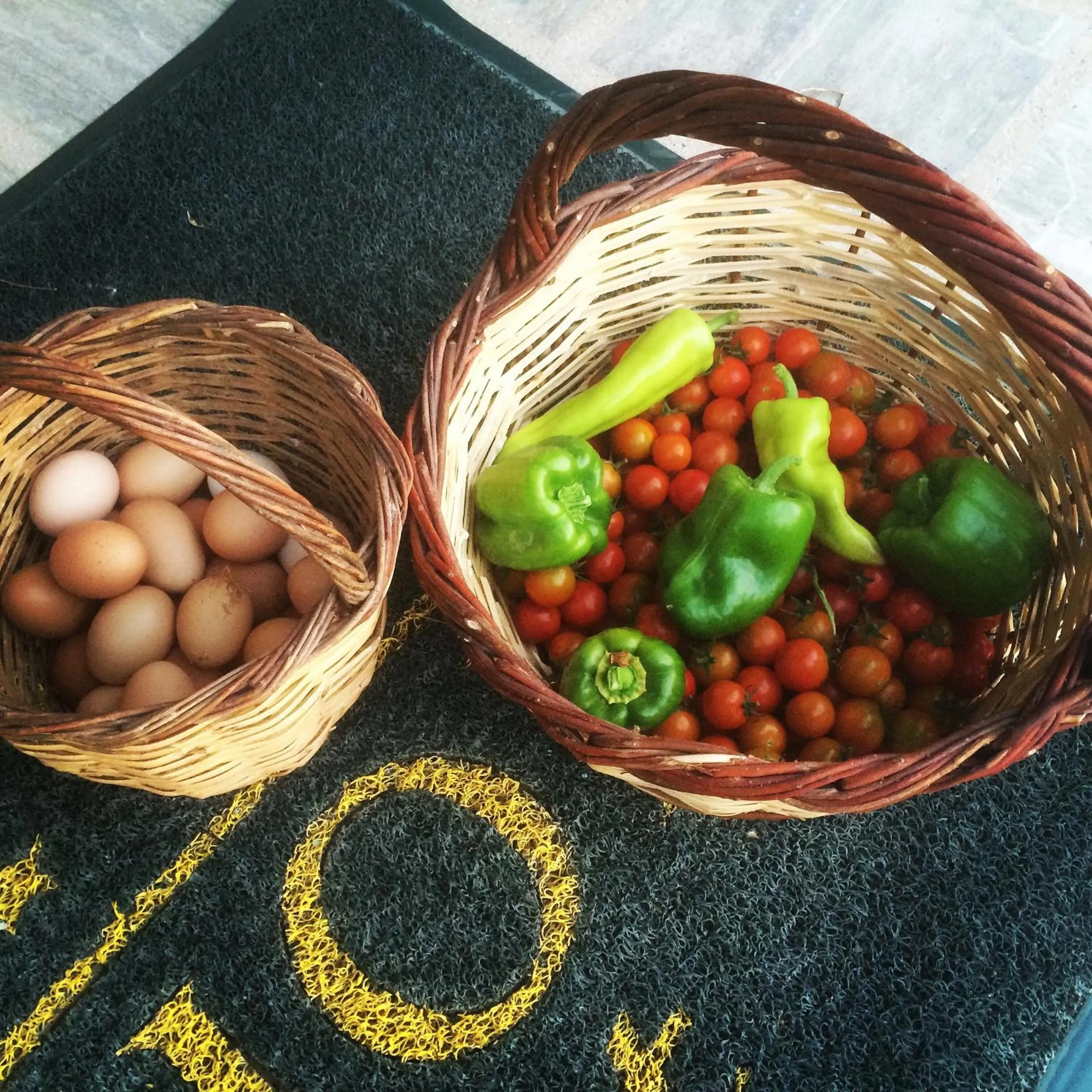 Garden in Aktaion Resort