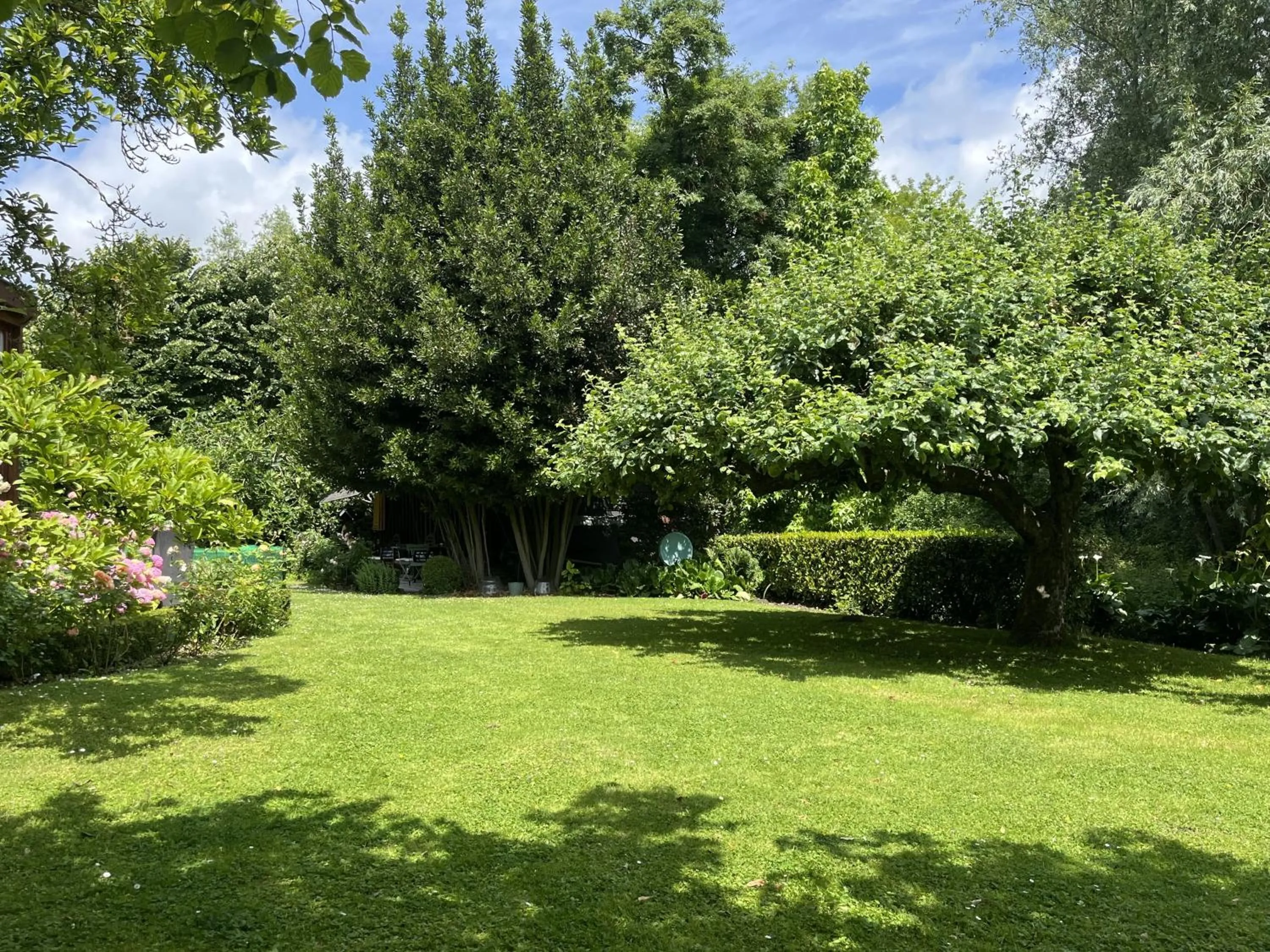 Garden in Comme une parenthèse au coeur des hortillonnages