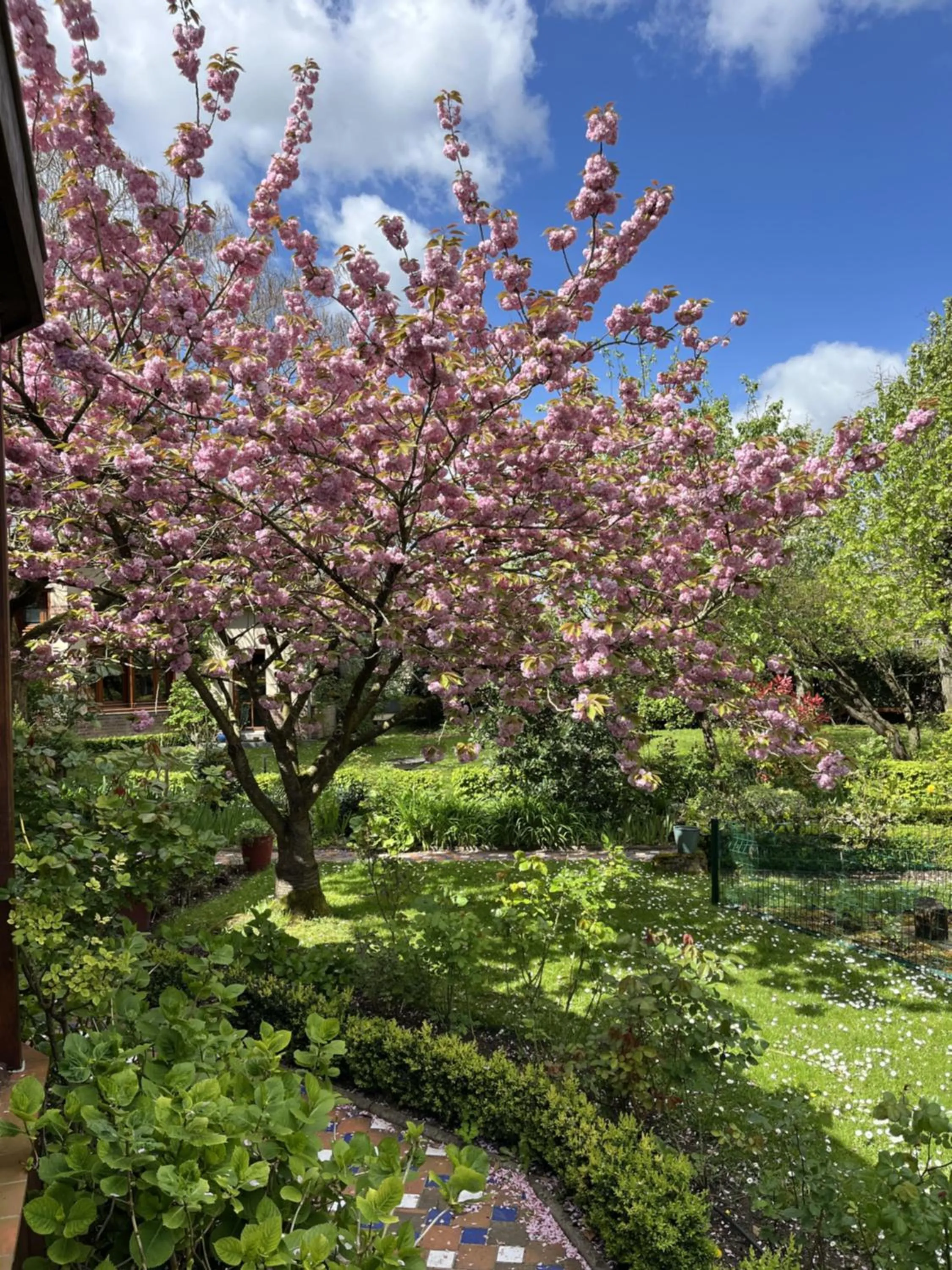 Garden in Comme une parenthèse au coeur des hortillonnages