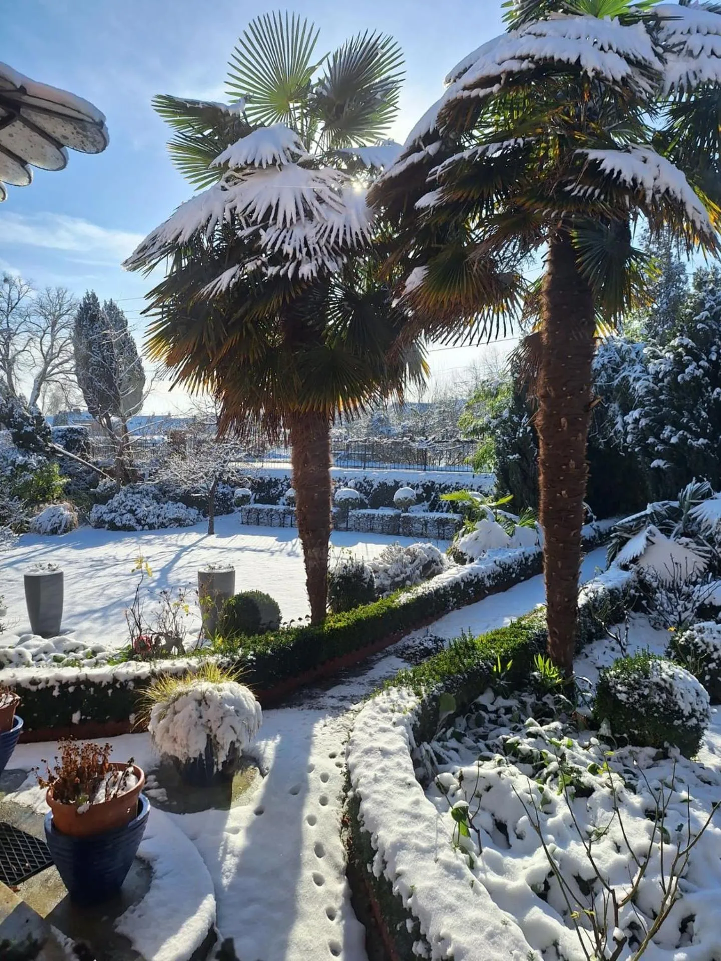 Garden in Comme une parenthèse au coeur des hortillonnages
