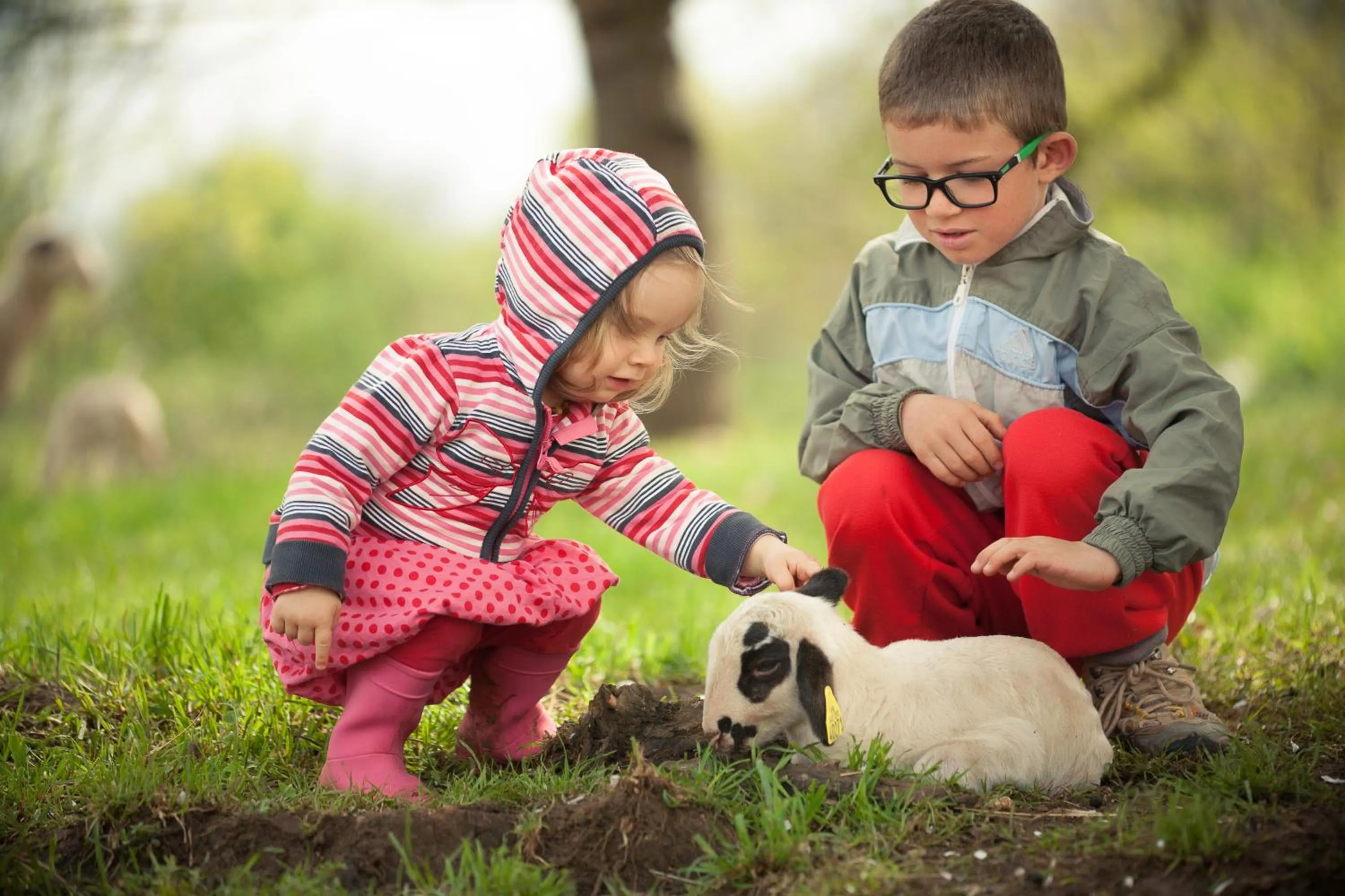 Pets in les roulottes du LOT