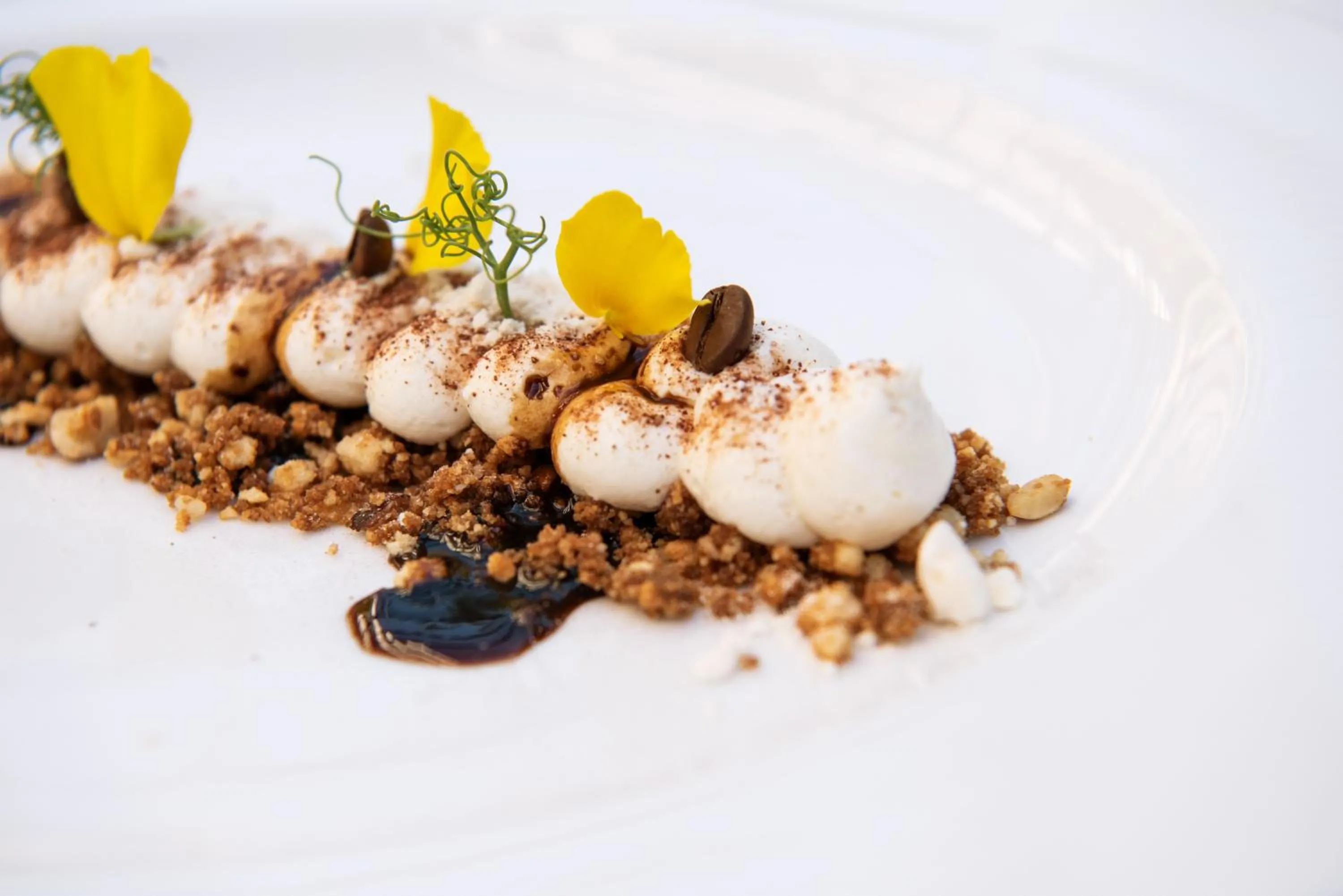 Restaurant/places to eat in Hotel Polo