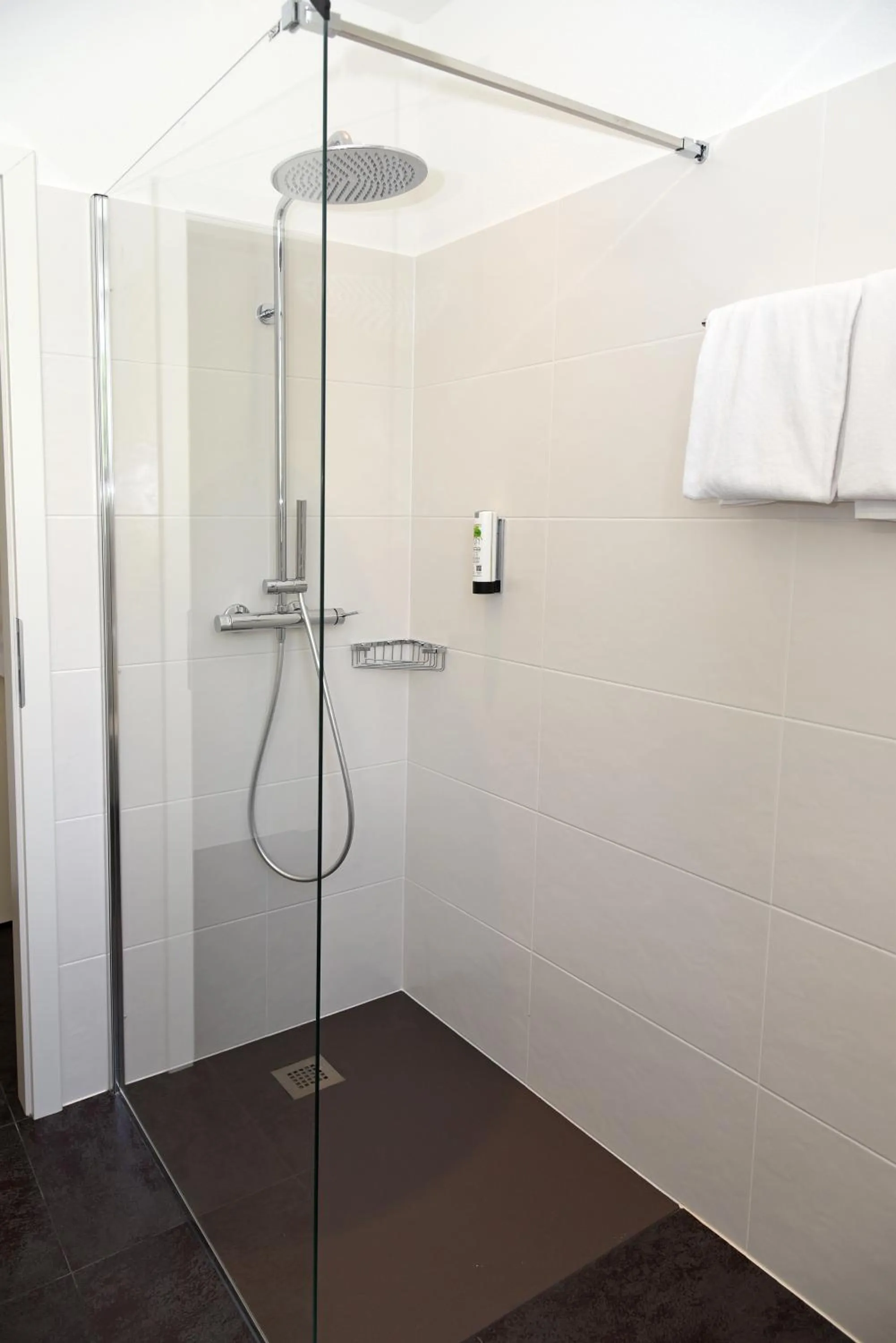 Shower in Hotel Polo