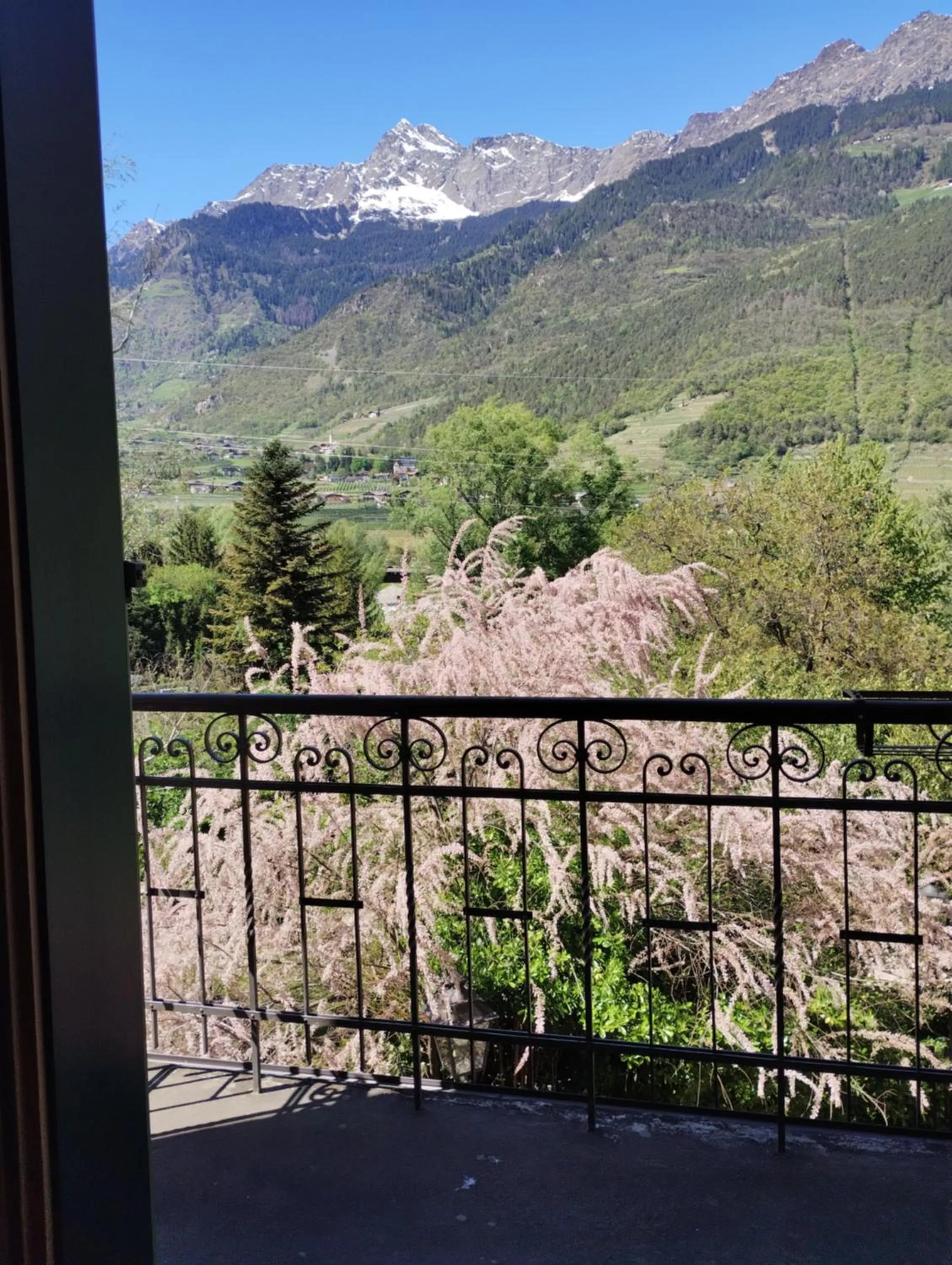 Balcony/Terrace in Schlosswirt Forst