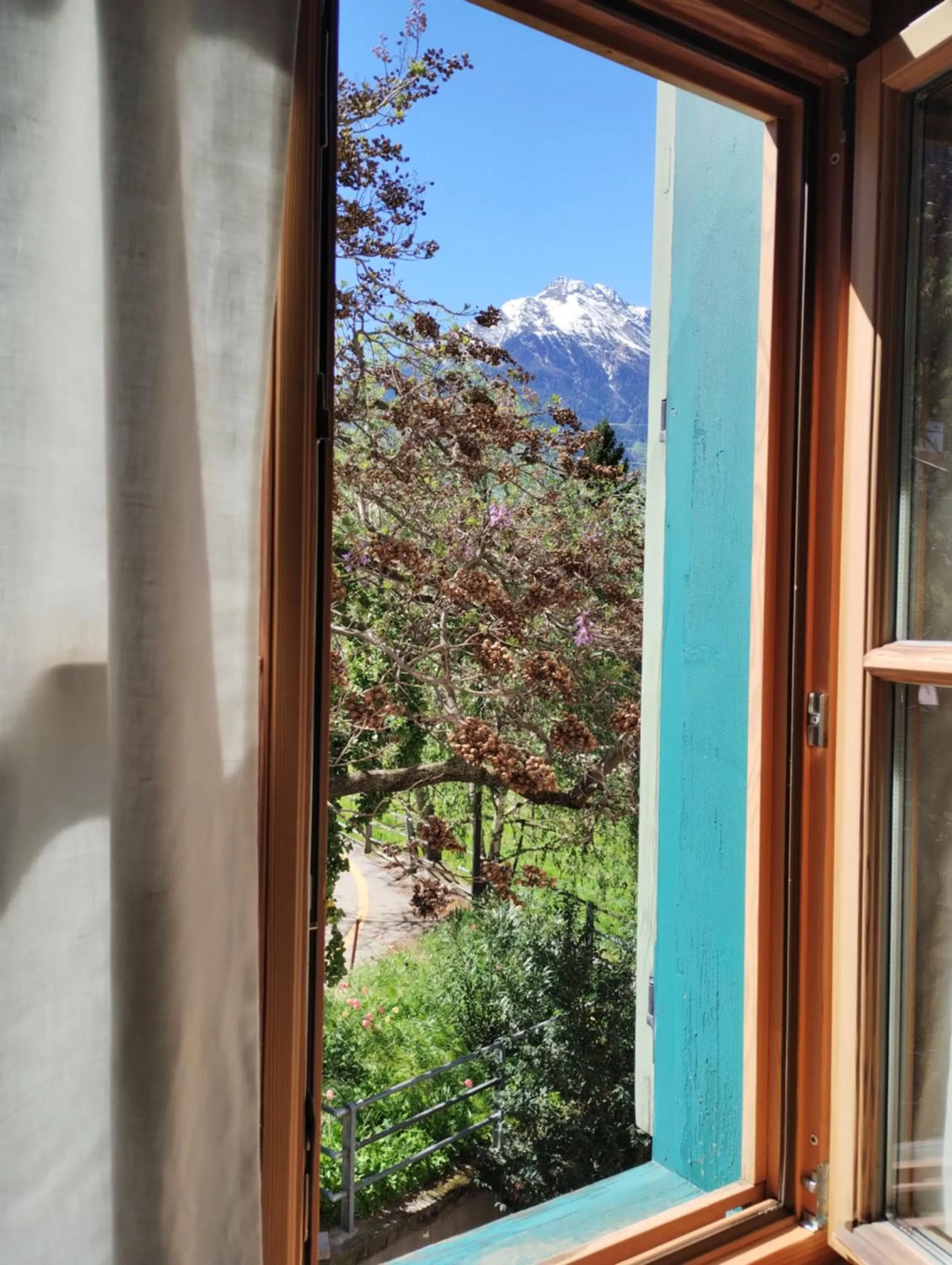 View (from property/room) in Schlosswirt Forst