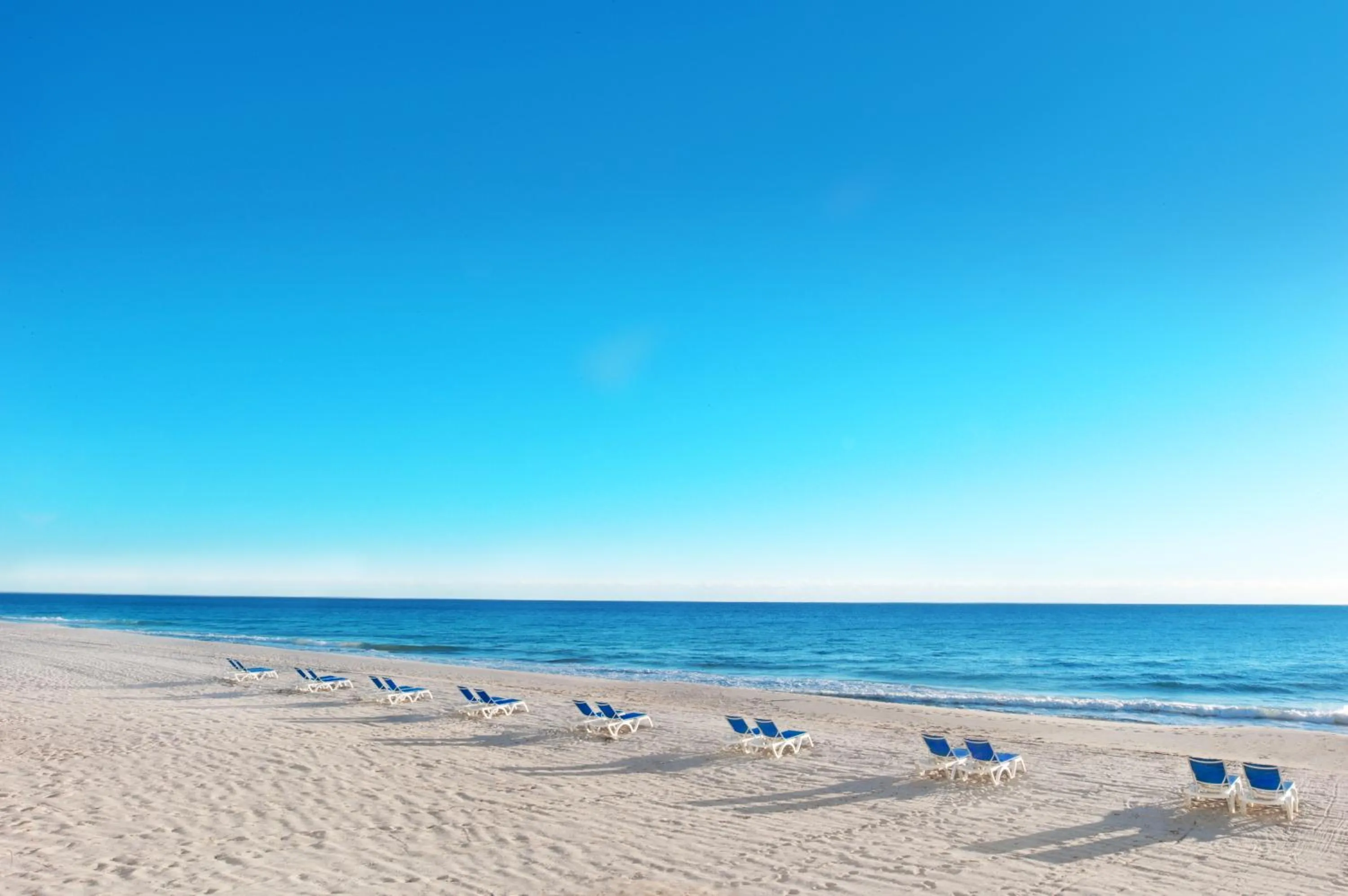 Natural landscape in Pelican Grand Beach Resort, a Noble House Resort