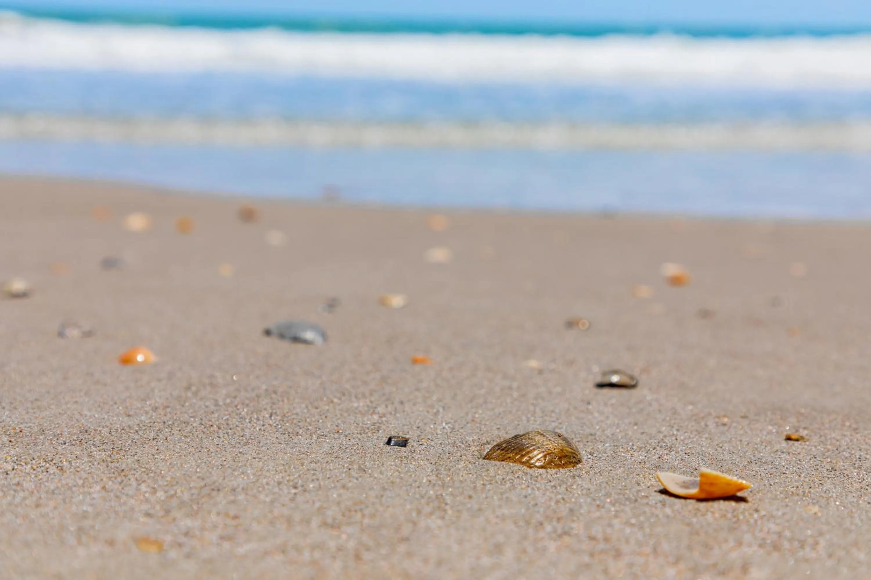 Beachside Hotel & Suites Cocoa Beach - Port Canaveral