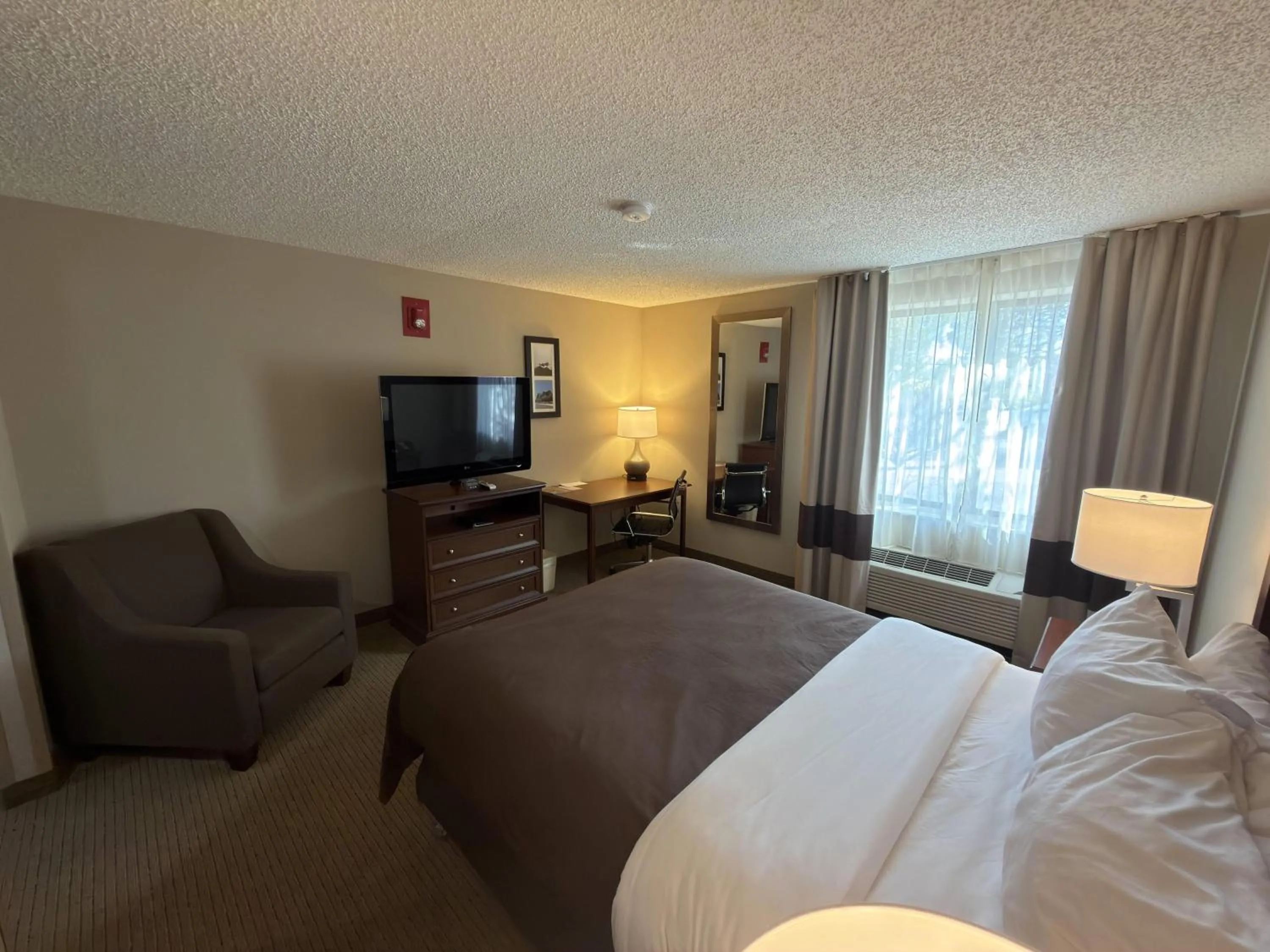 Photo of the whole room, Bed in Wingate by Wyndham Utica