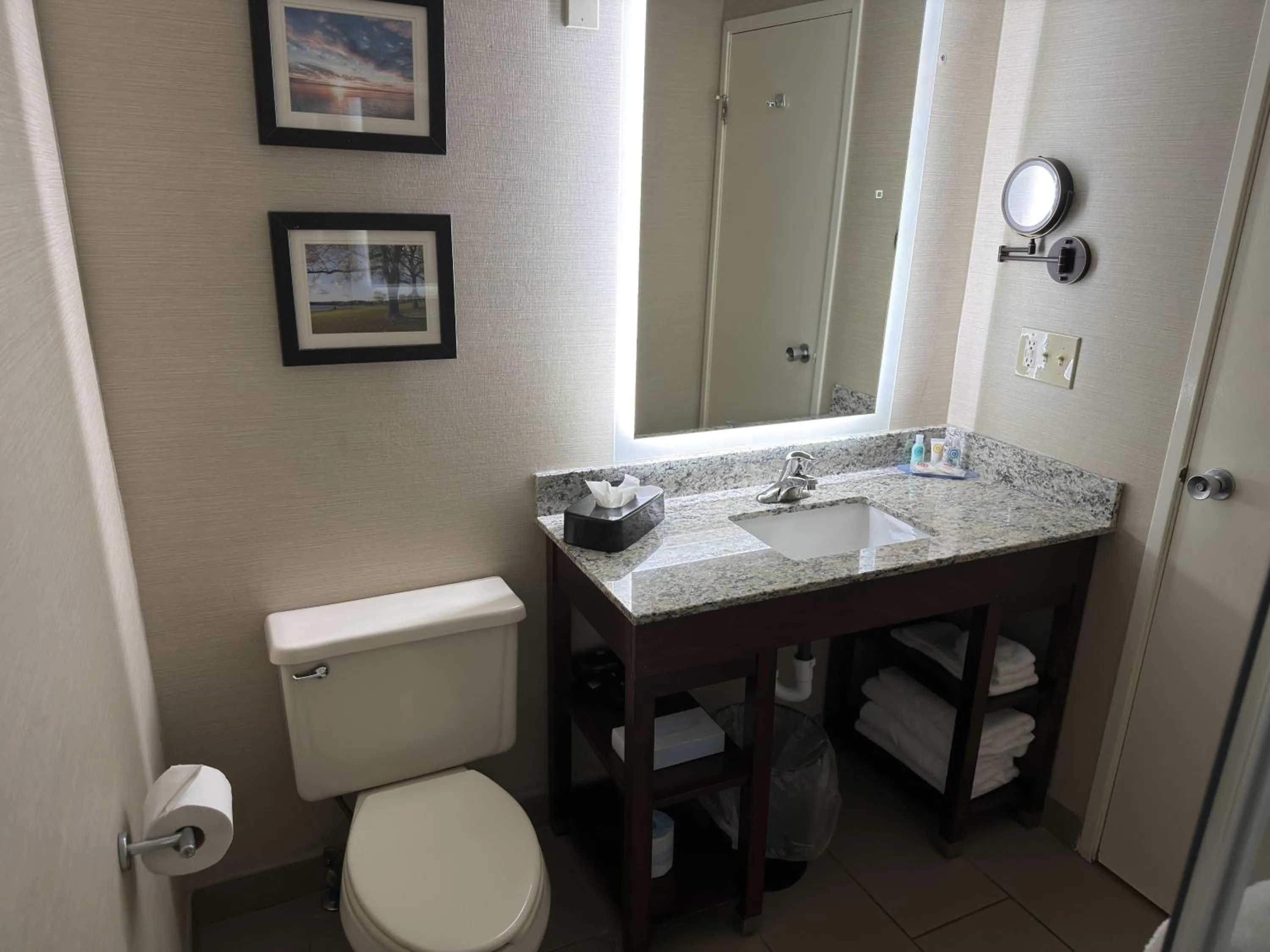 Bathroom in Wingate by Wyndham Utica