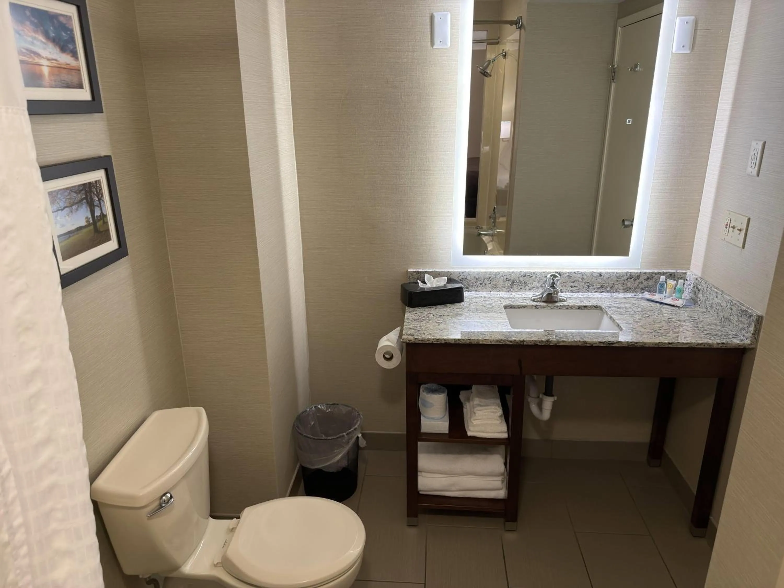 Bathroom in Wingate by Wyndham Utica
