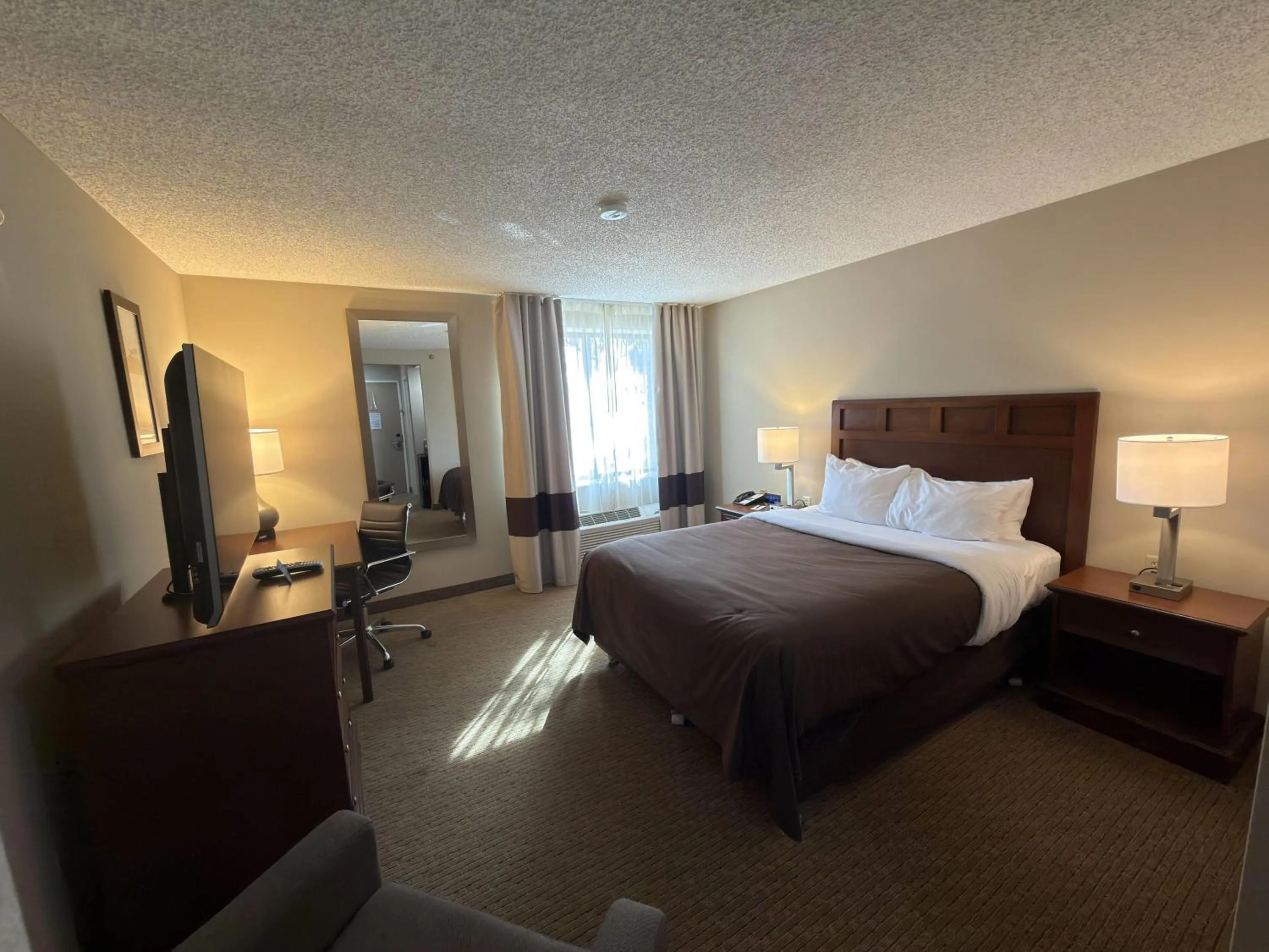 Photo of the whole room, Bed in Wingate by Wyndham Utica