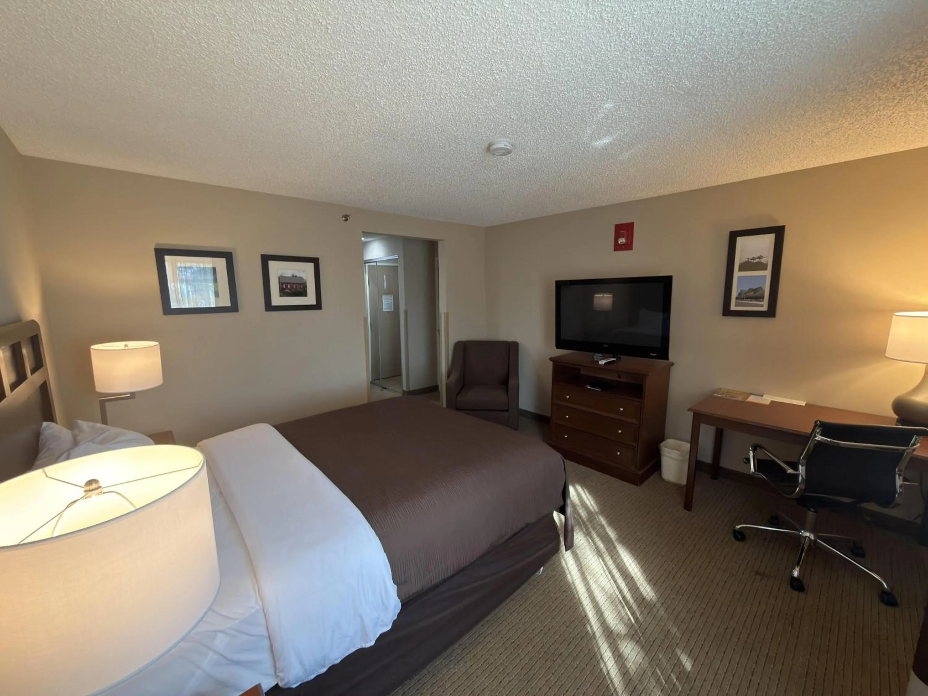 Photo of the whole room, Bed in Wingate by Wyndham Utica