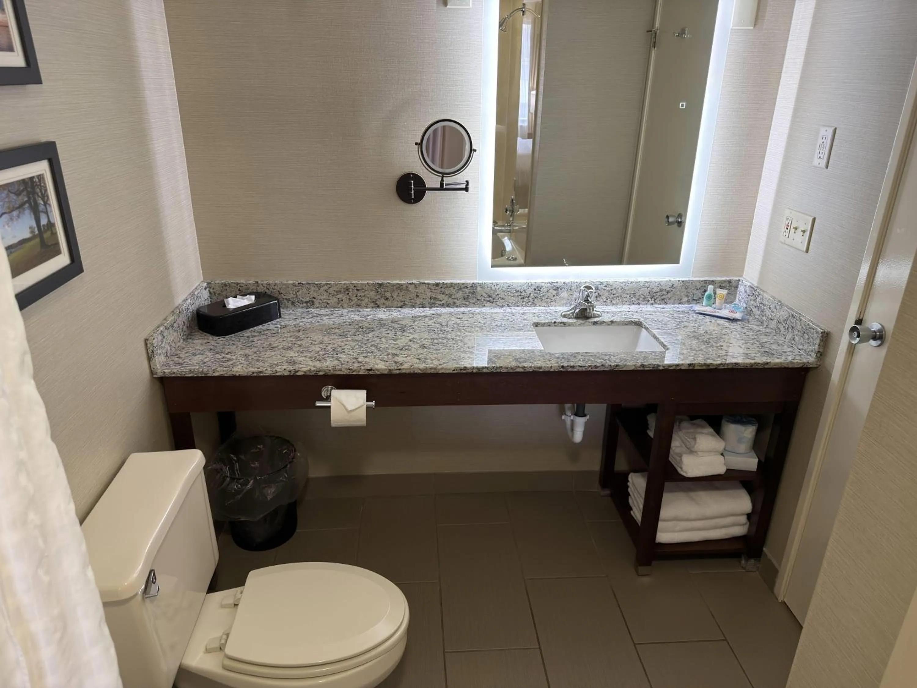 Bathroom in Wingate by Wyndham Utica