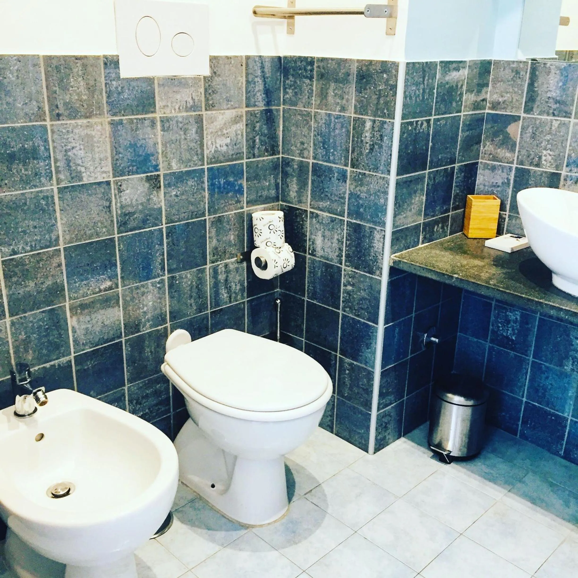 Toilet in Domus Alma