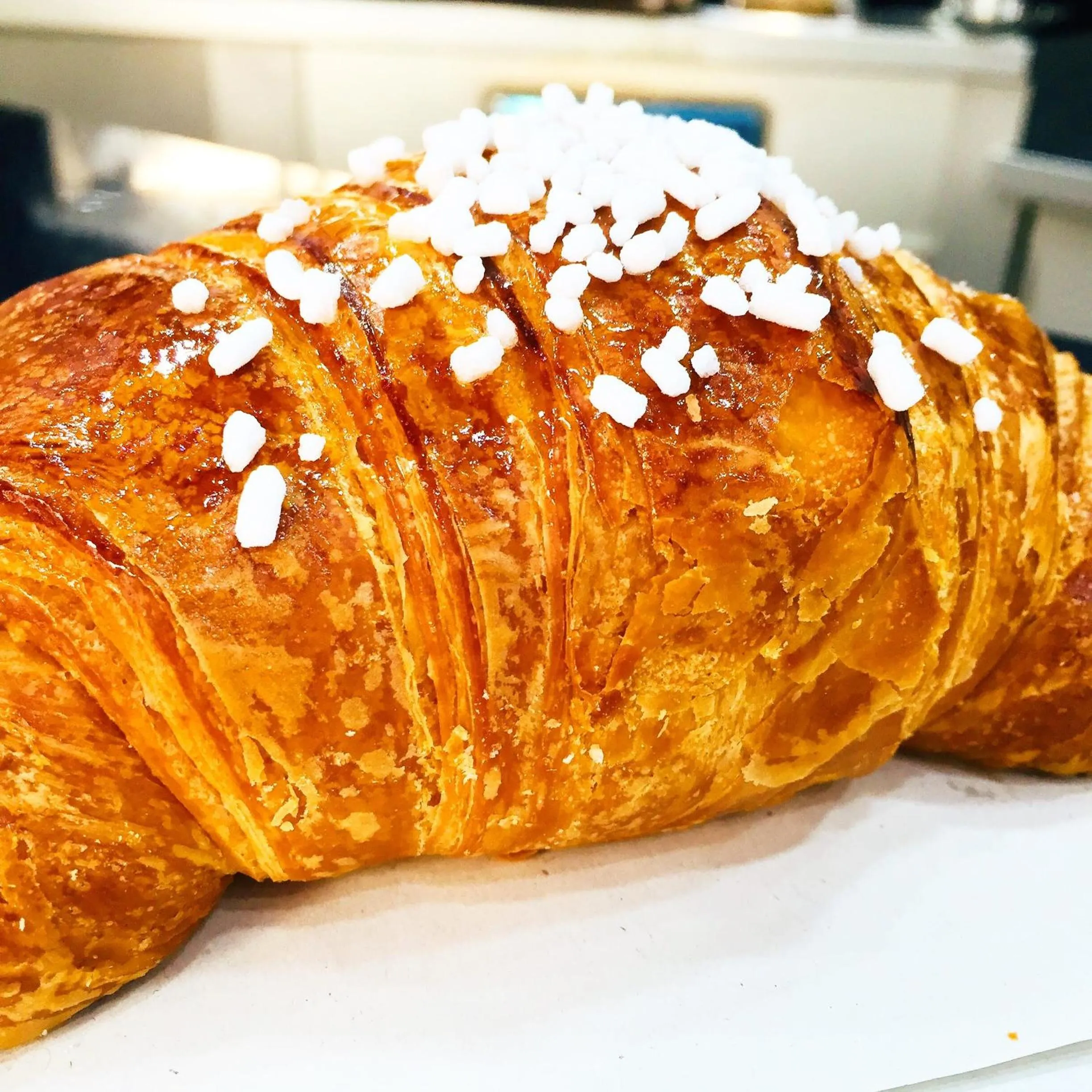 Lounge or bar in Domus Alma