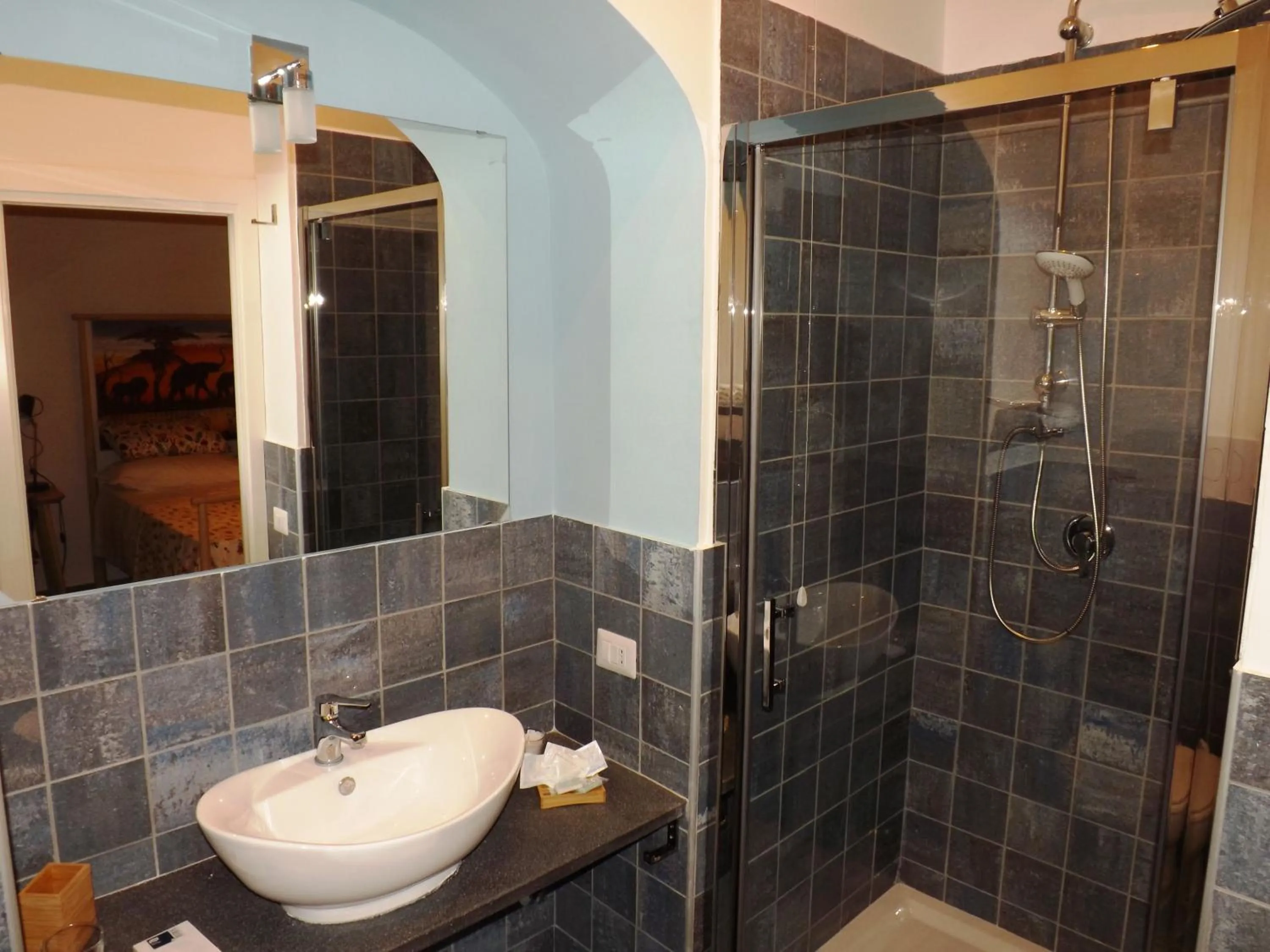 Shower in Domus Alma