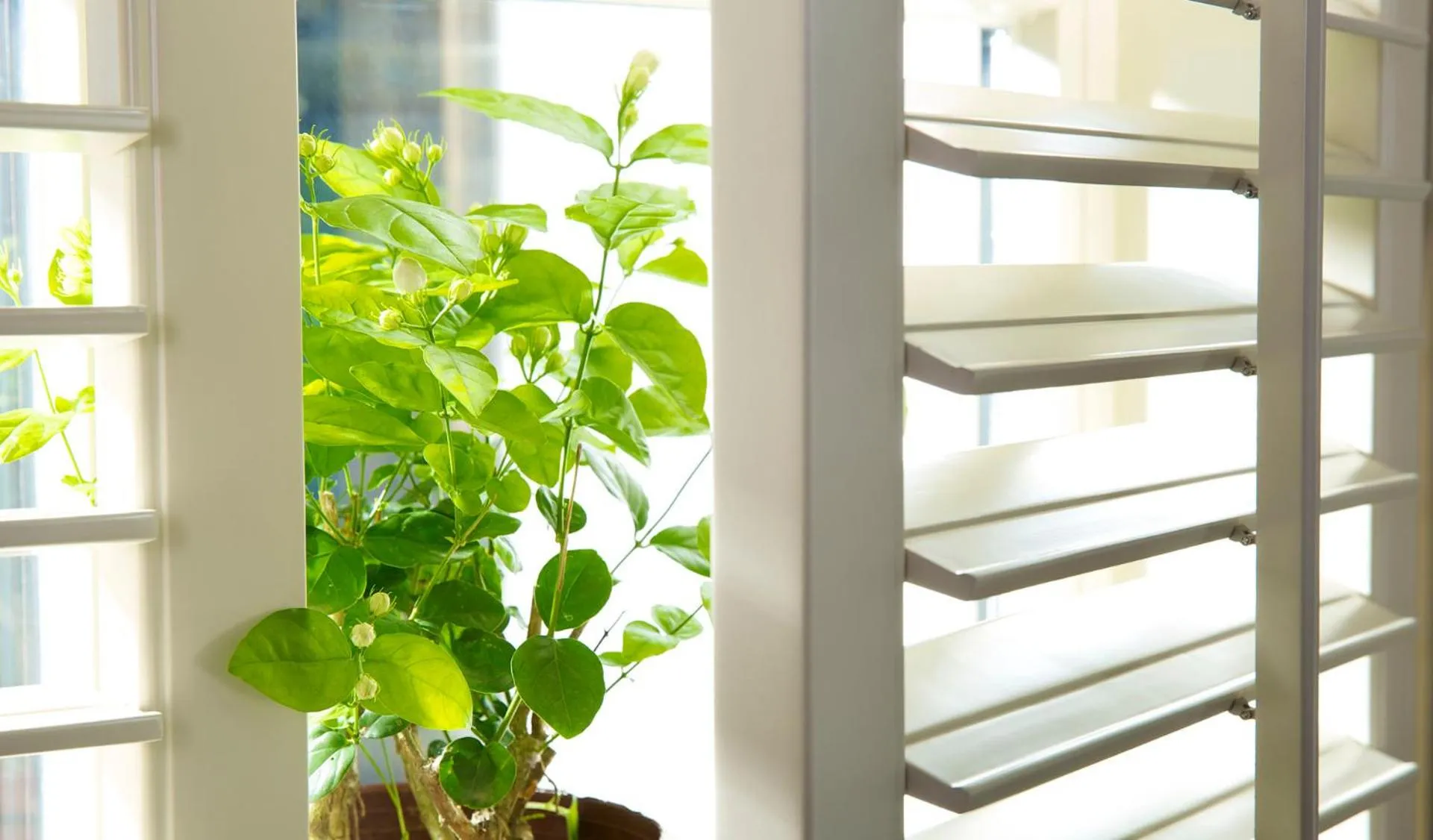 Jinjiang Inn - Chongqing Shopping & Entertainment Center