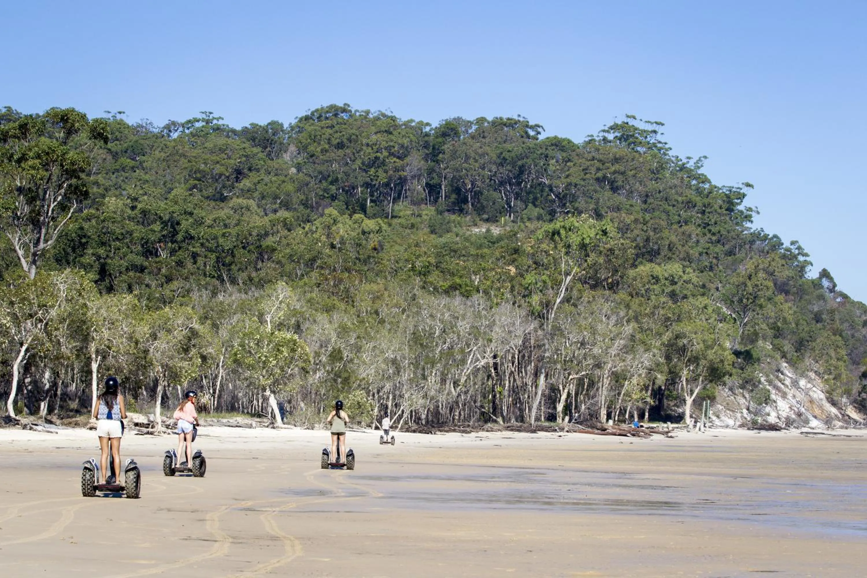 Day in Kingfisher Bay Resort