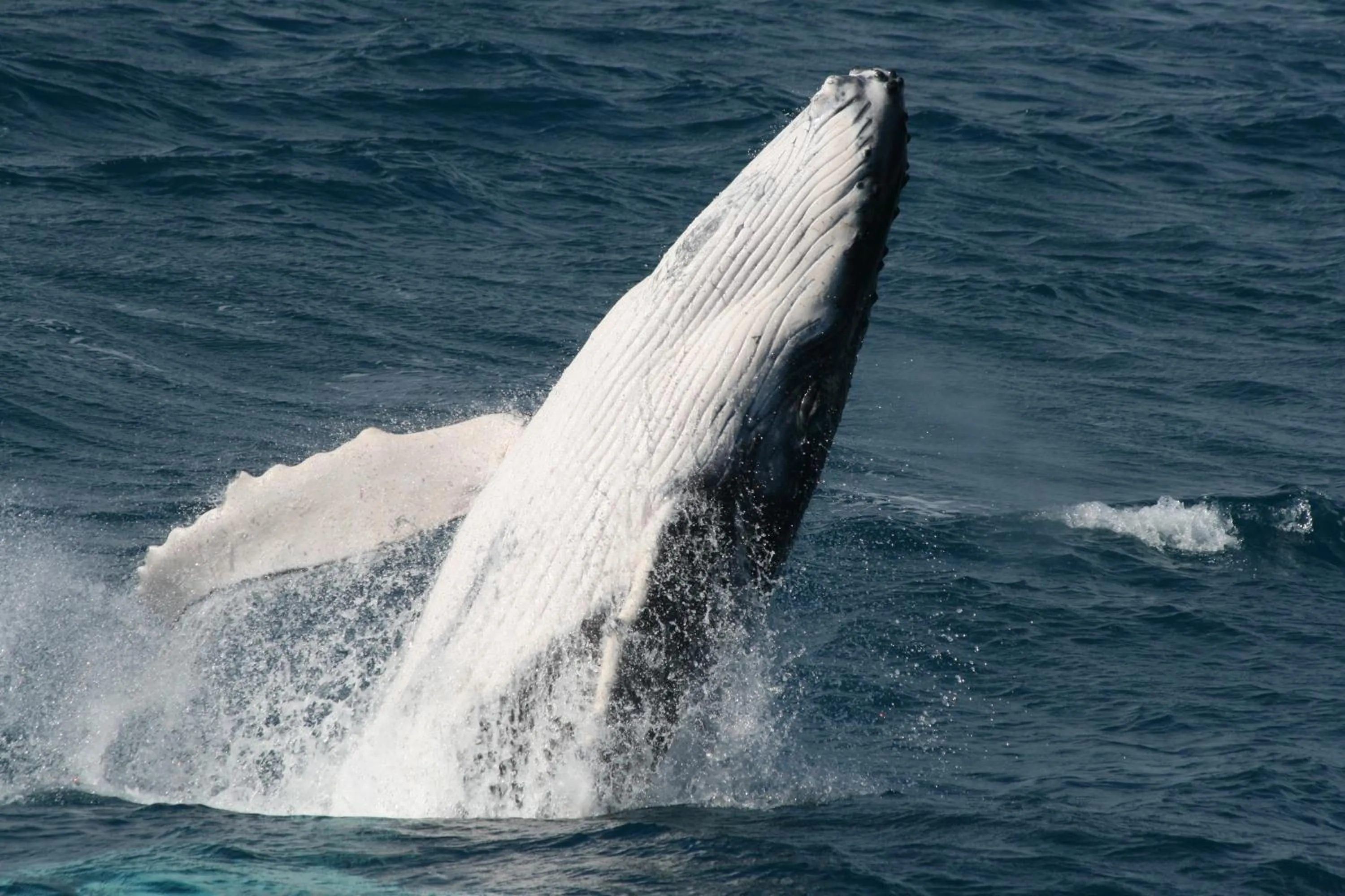 Off site in Grange Resort Hervey Bay