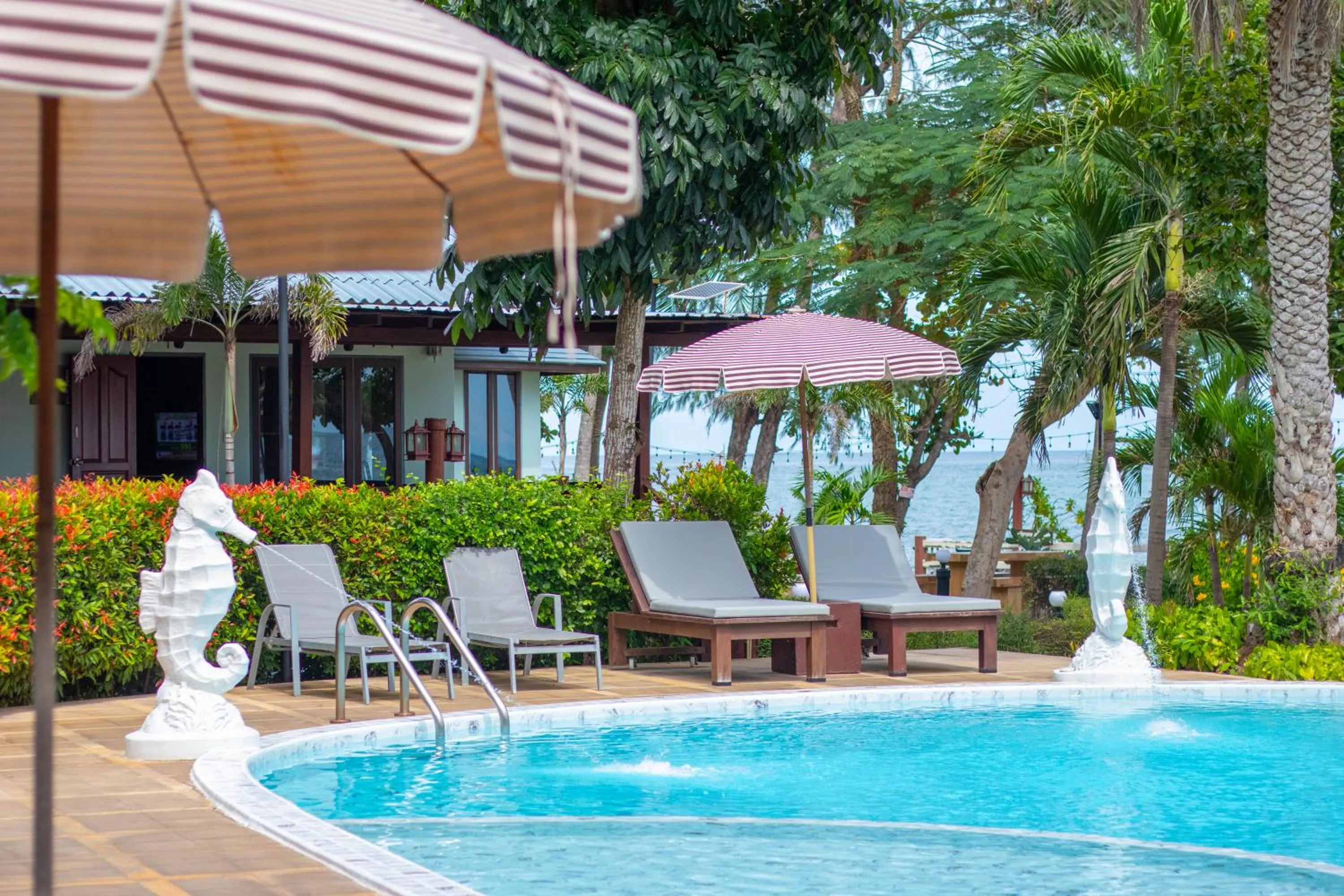 Swimming pool in Rocky Point Resort
