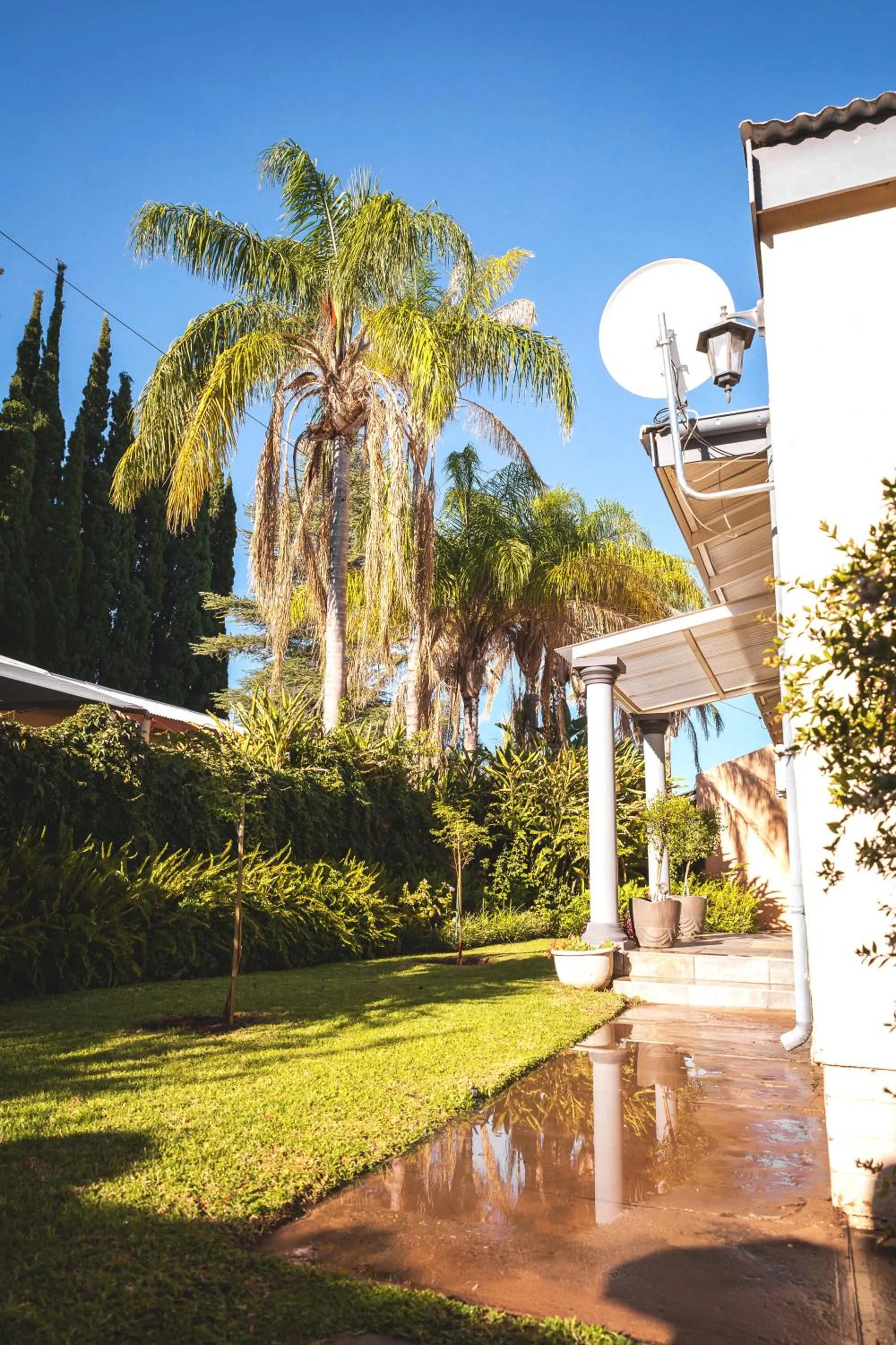 Garden in Be My Guest