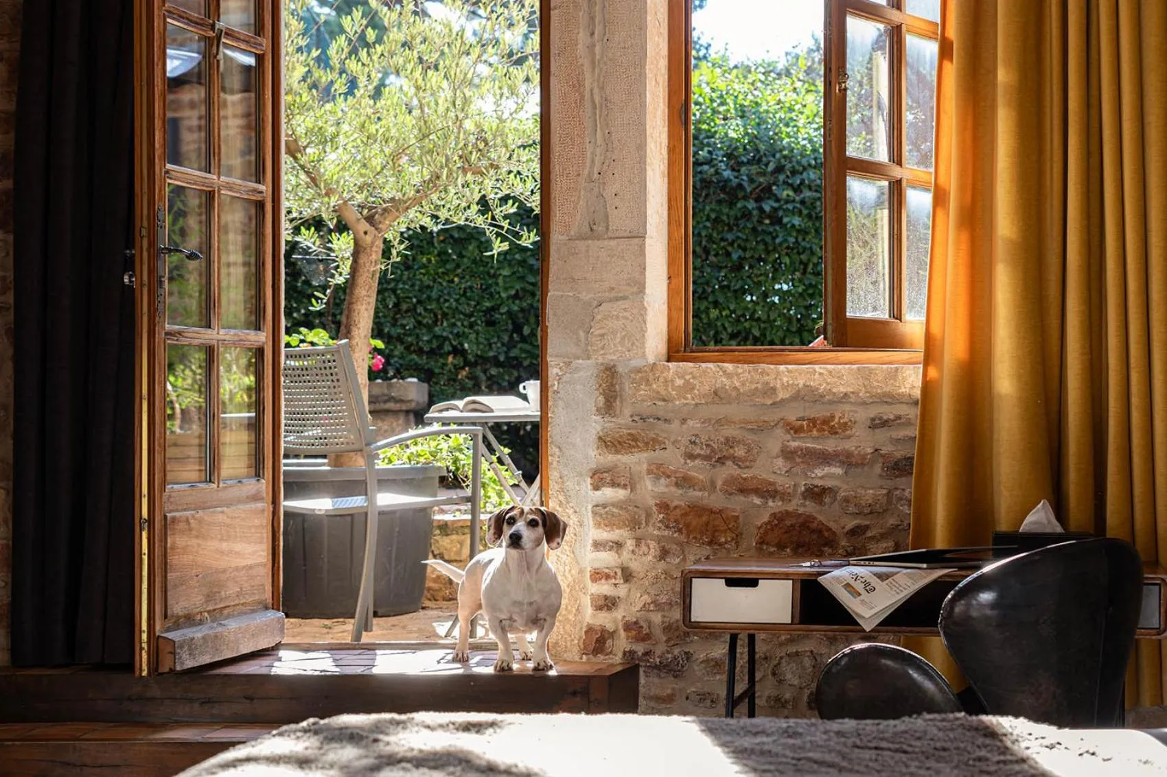 pet friendly in Contact Hôtels Le Savigny & Spa