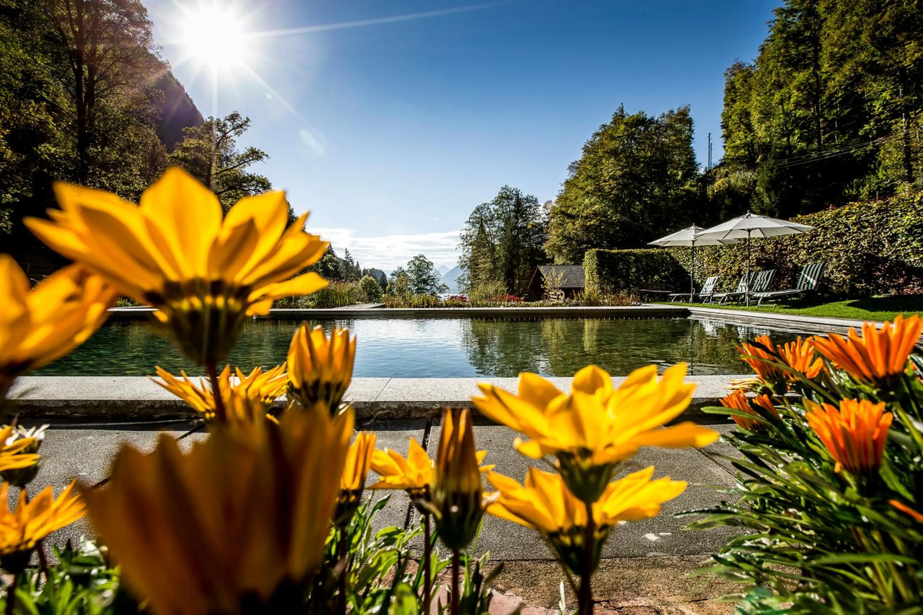 Swimming pool in Grandhotel Giessbach