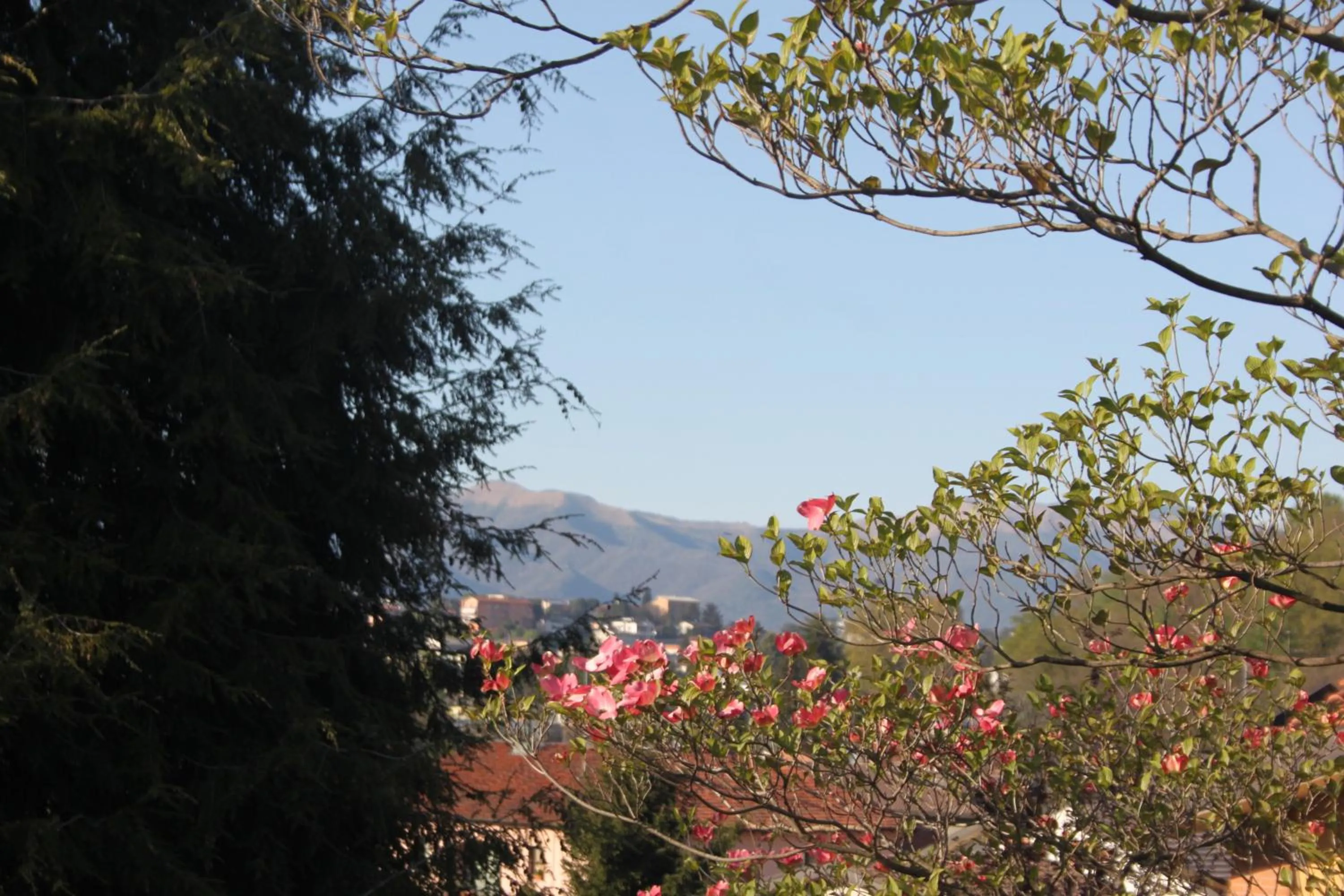 Natural landscape in Villa Onorina