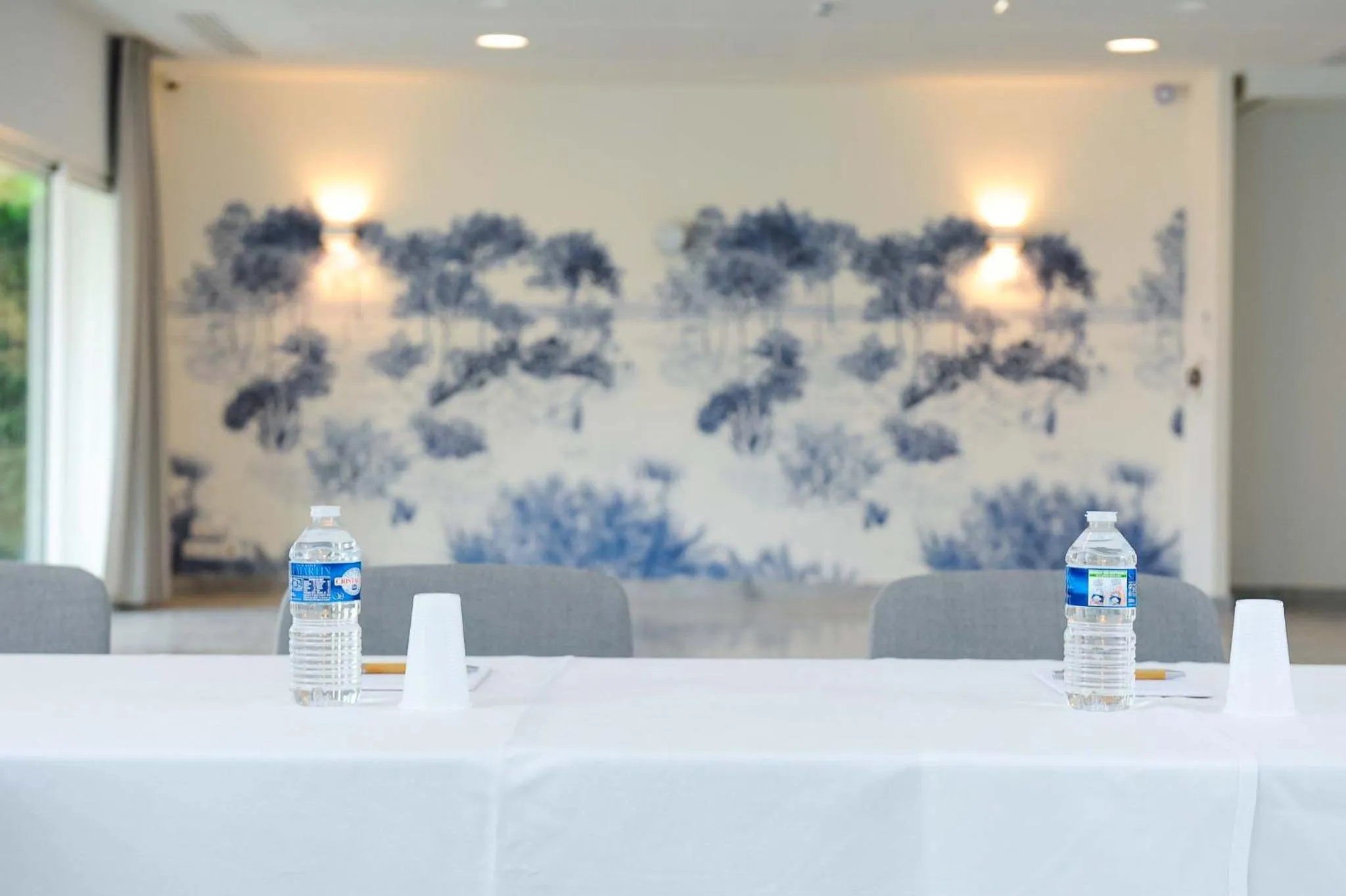 Meeting/conference room in Hôtel Les Grenettes