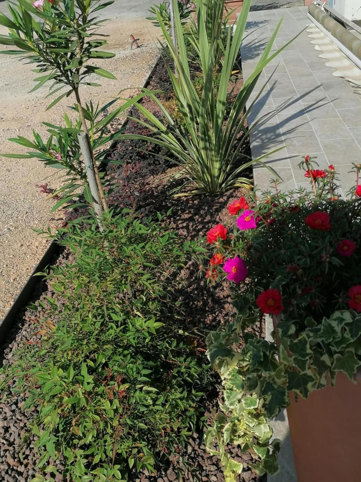 Facade/entrance in Hotel Europa