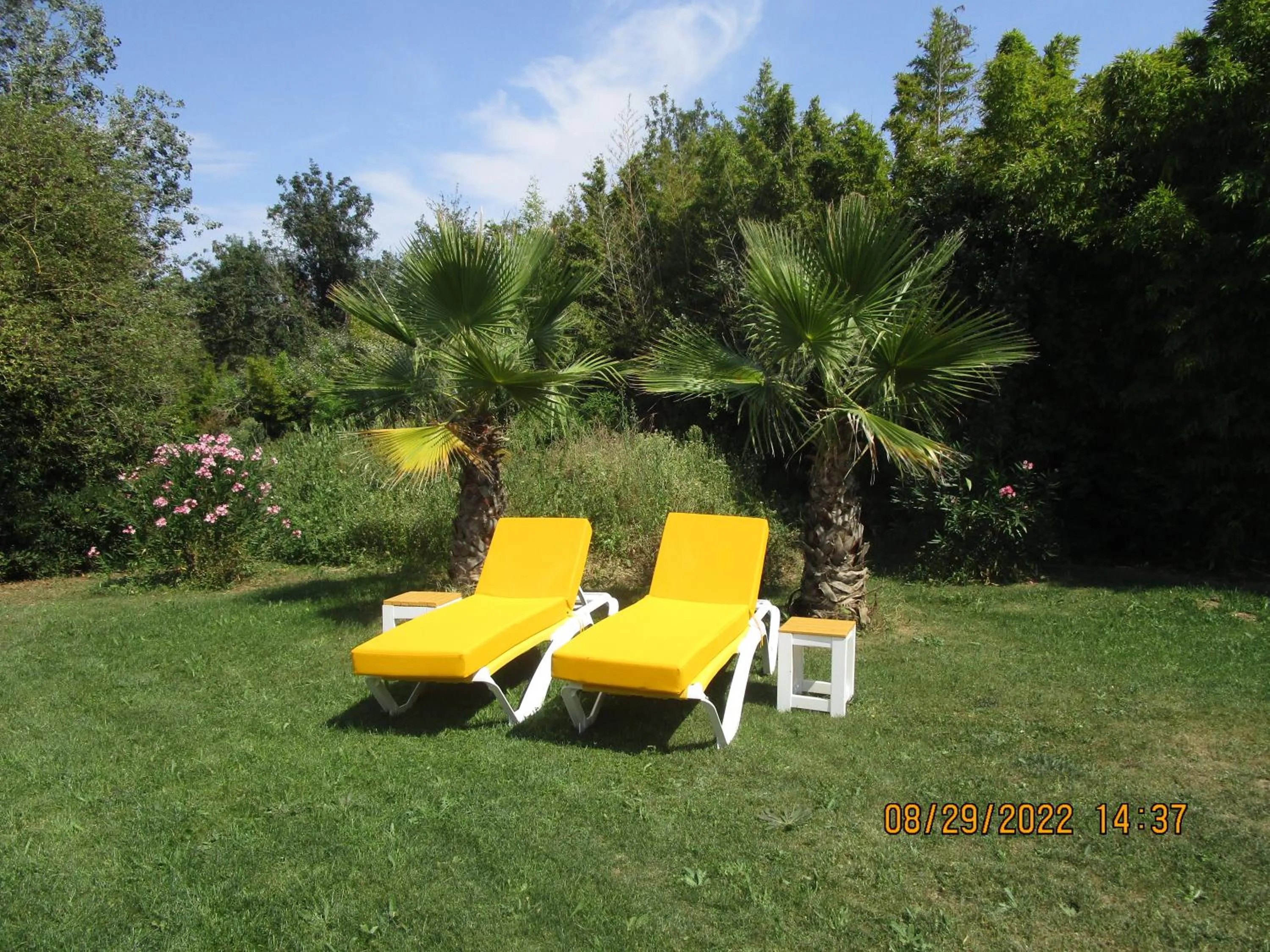 Garden in Locatlantique