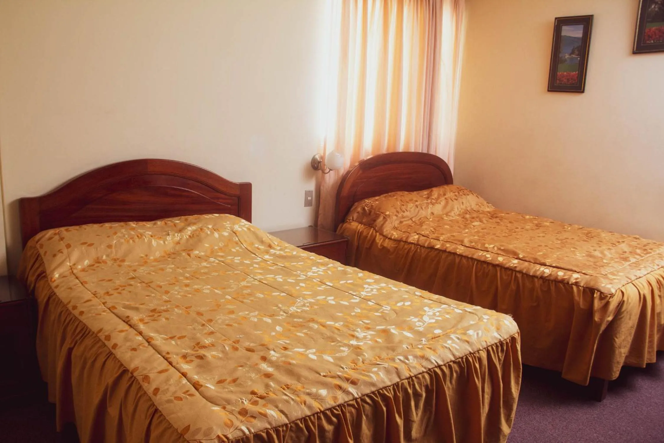 Twin Room with Shower in Hotel Internacional