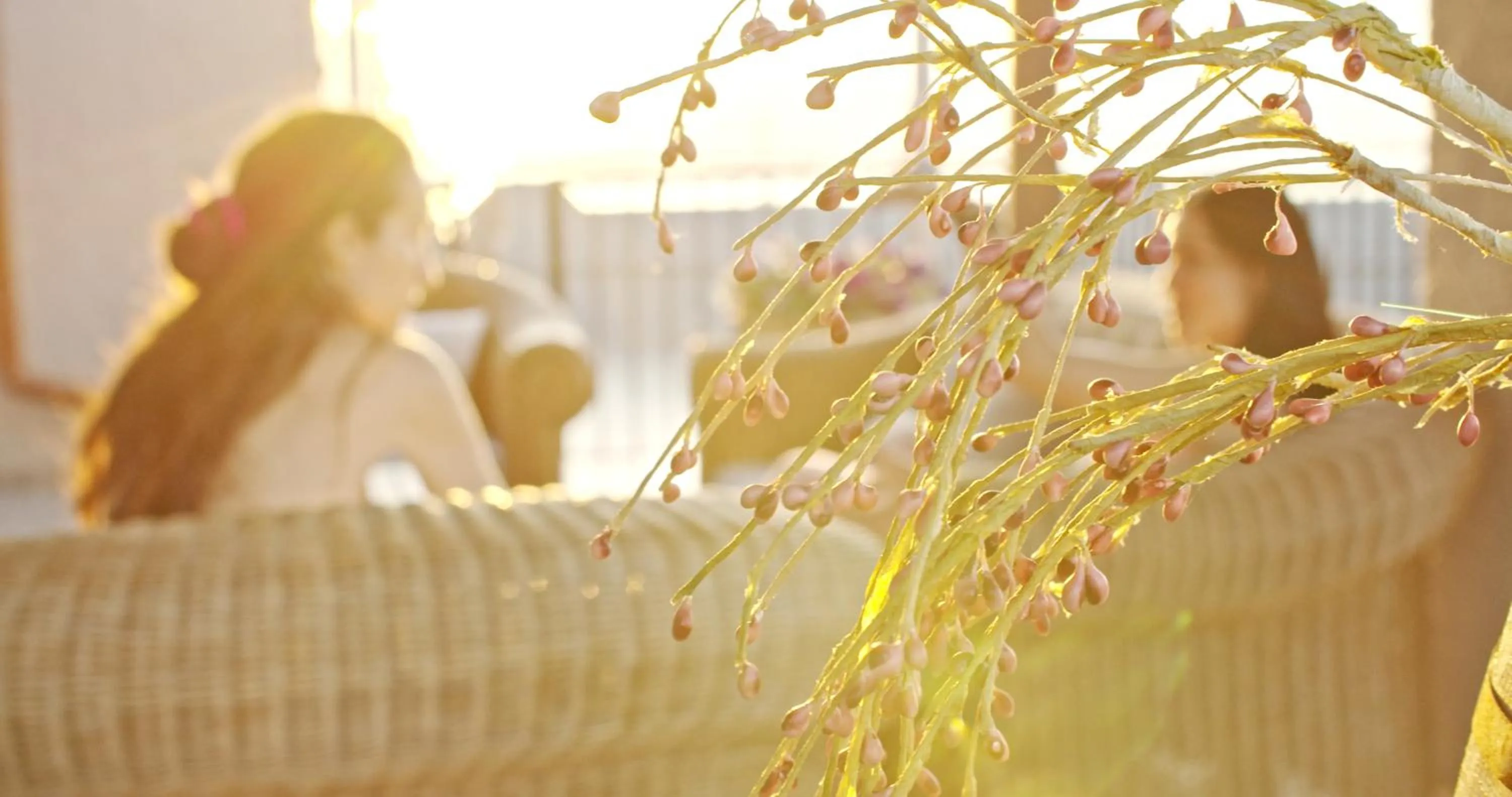 People in Waterlily Hotel Apartments