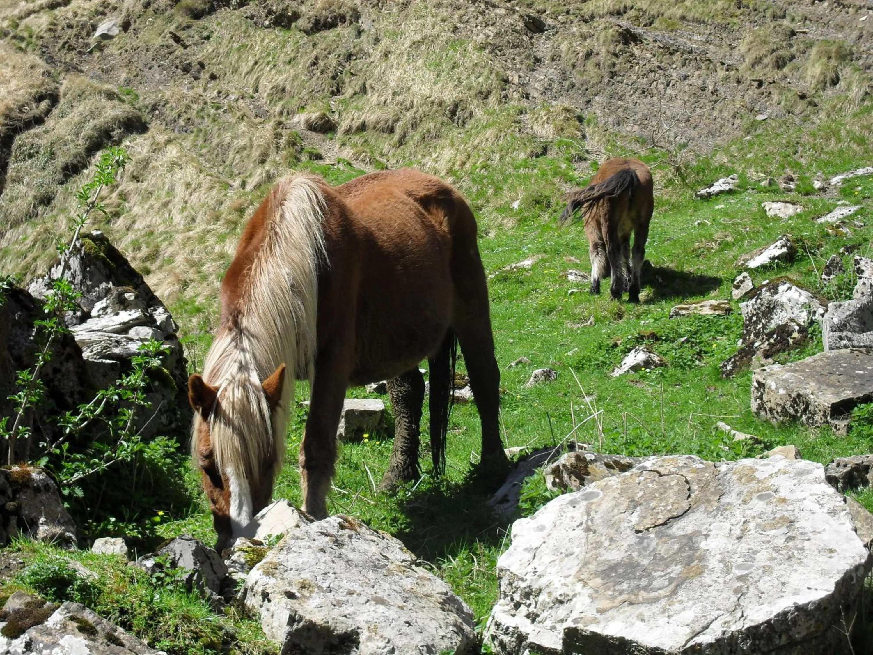 Day in Logis Hôtel Andreinia & Cabanes