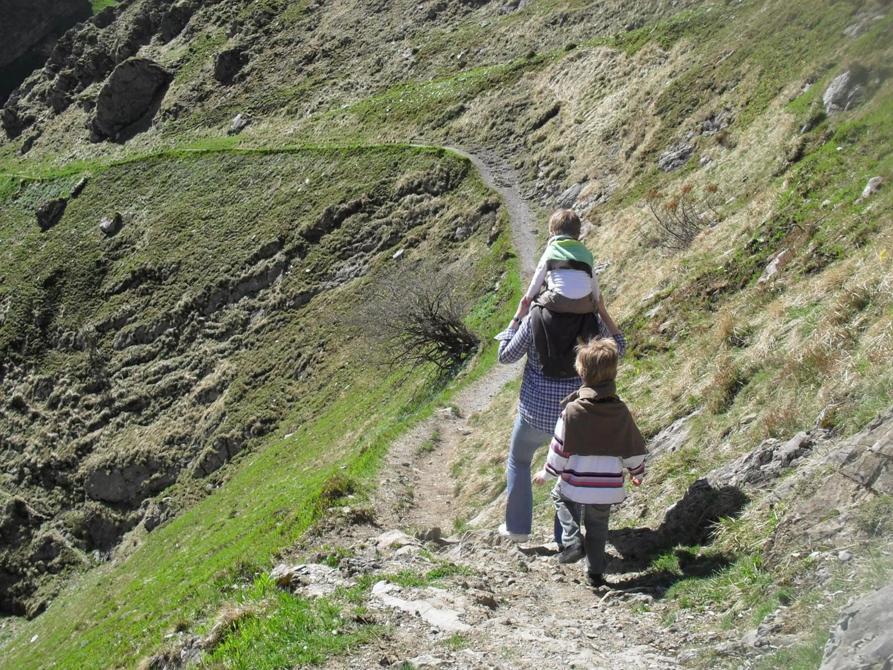 Area and facilities in Logis Hôtel Andreinia & Cabanes