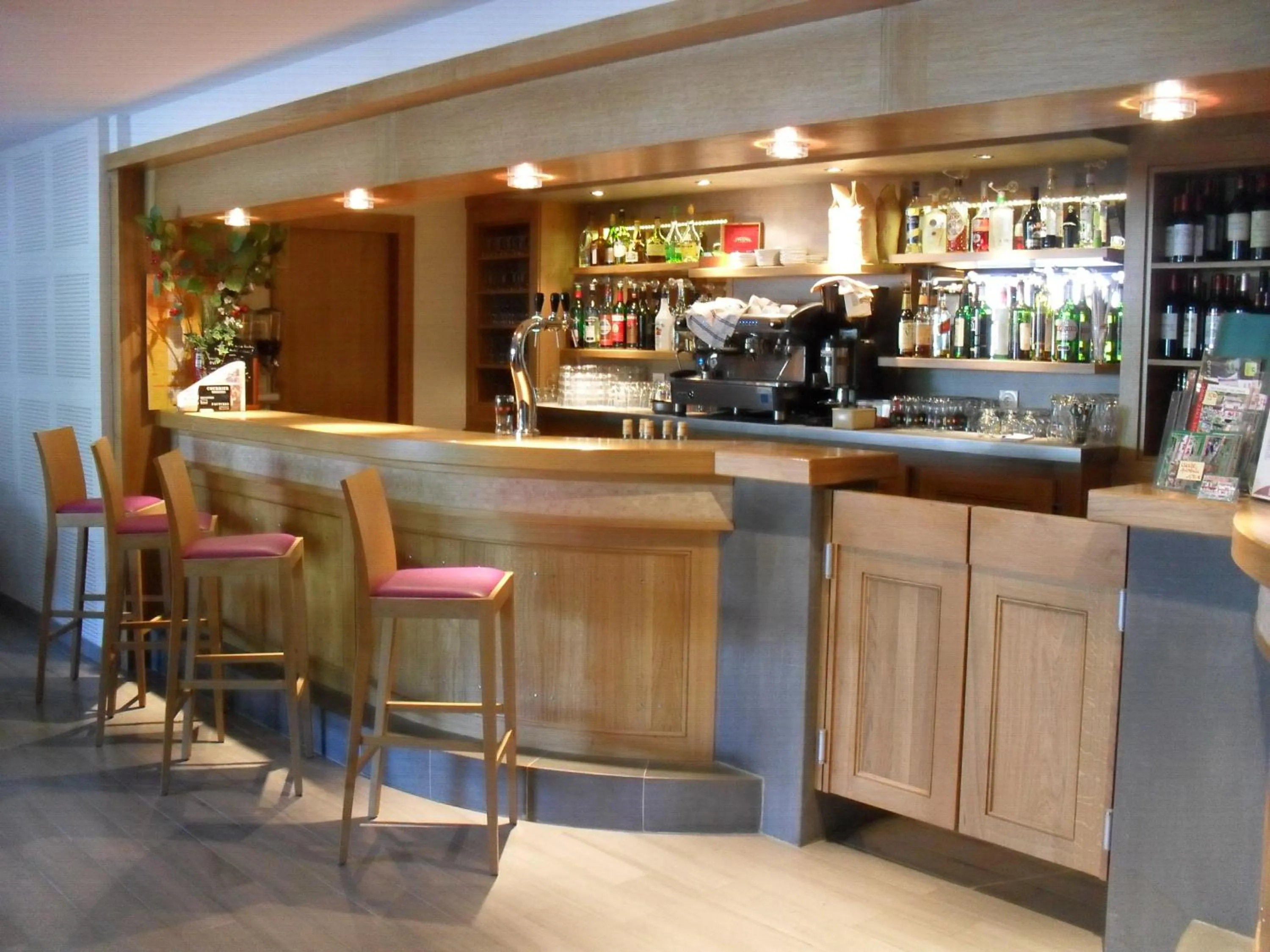 Lounge or bar in Logis Hôtel Andreinia & Cabanes