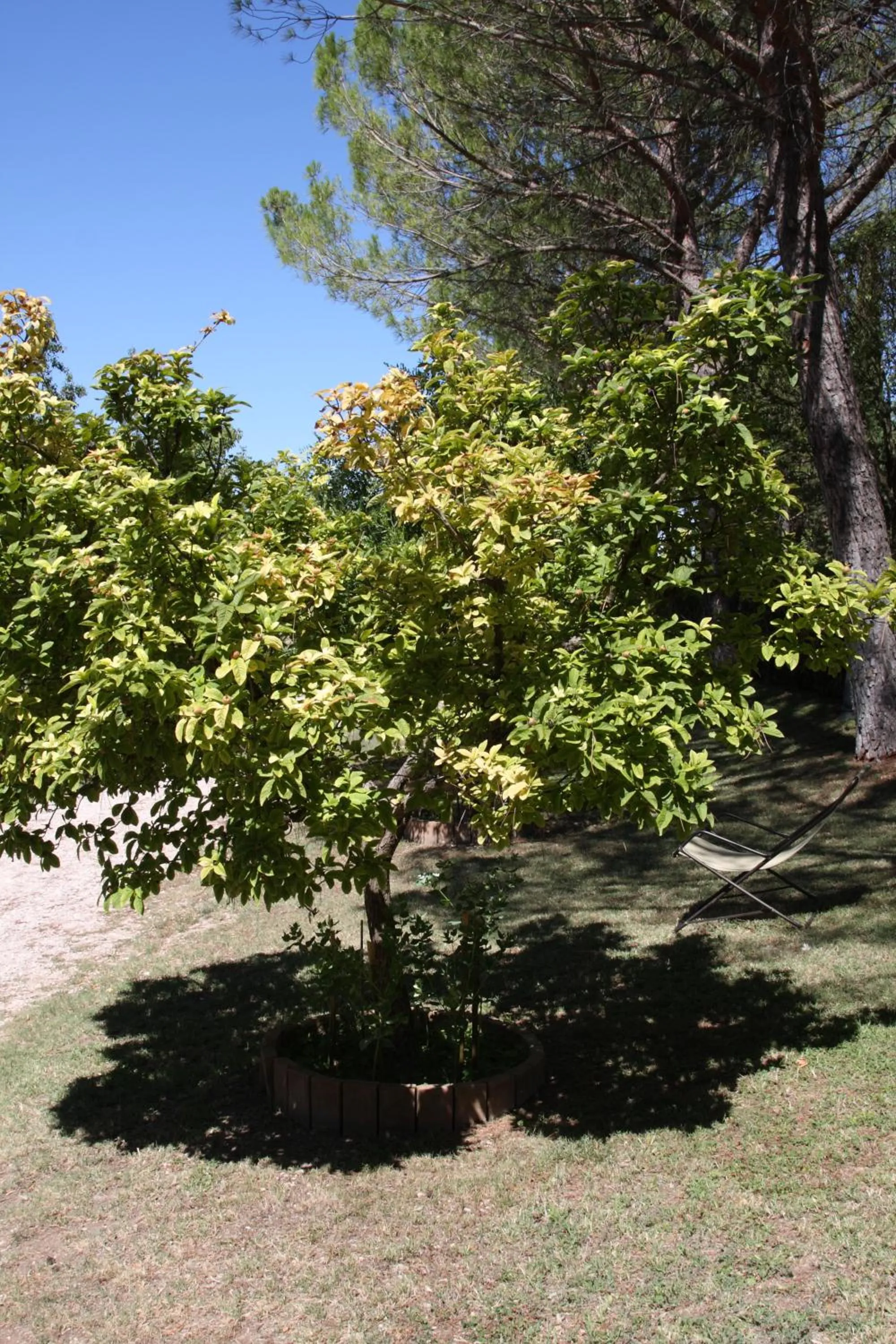 Property building in Villa del Cardinale